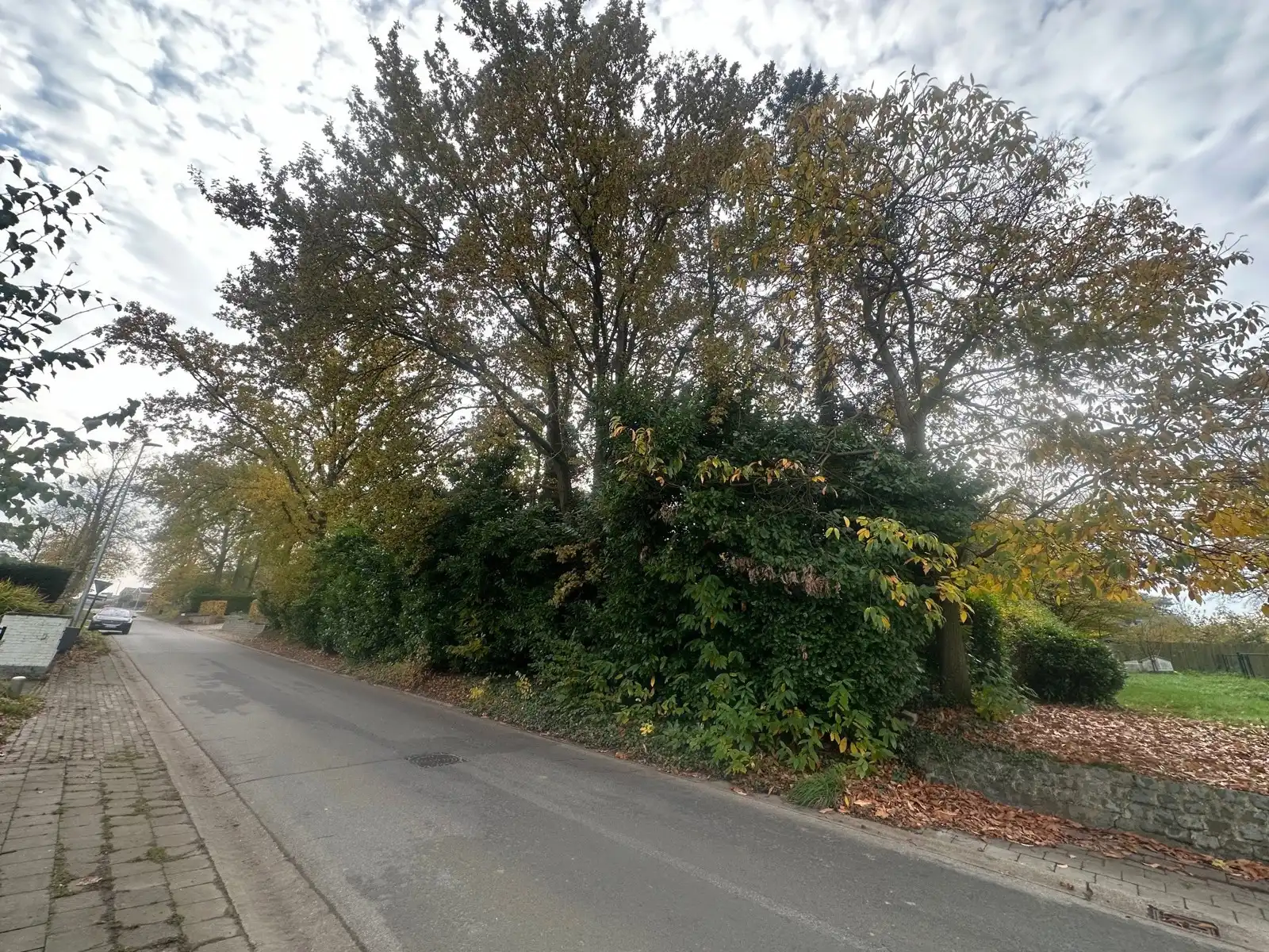 Bouwgrond OB 900 m2 aan Beerzelberg te 2580 BEERZEL foto 2