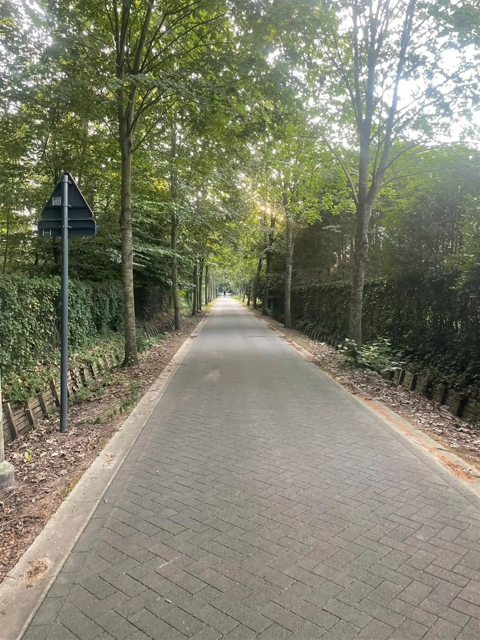 Open bouwgrond van ca. 3.755 m² foto 14