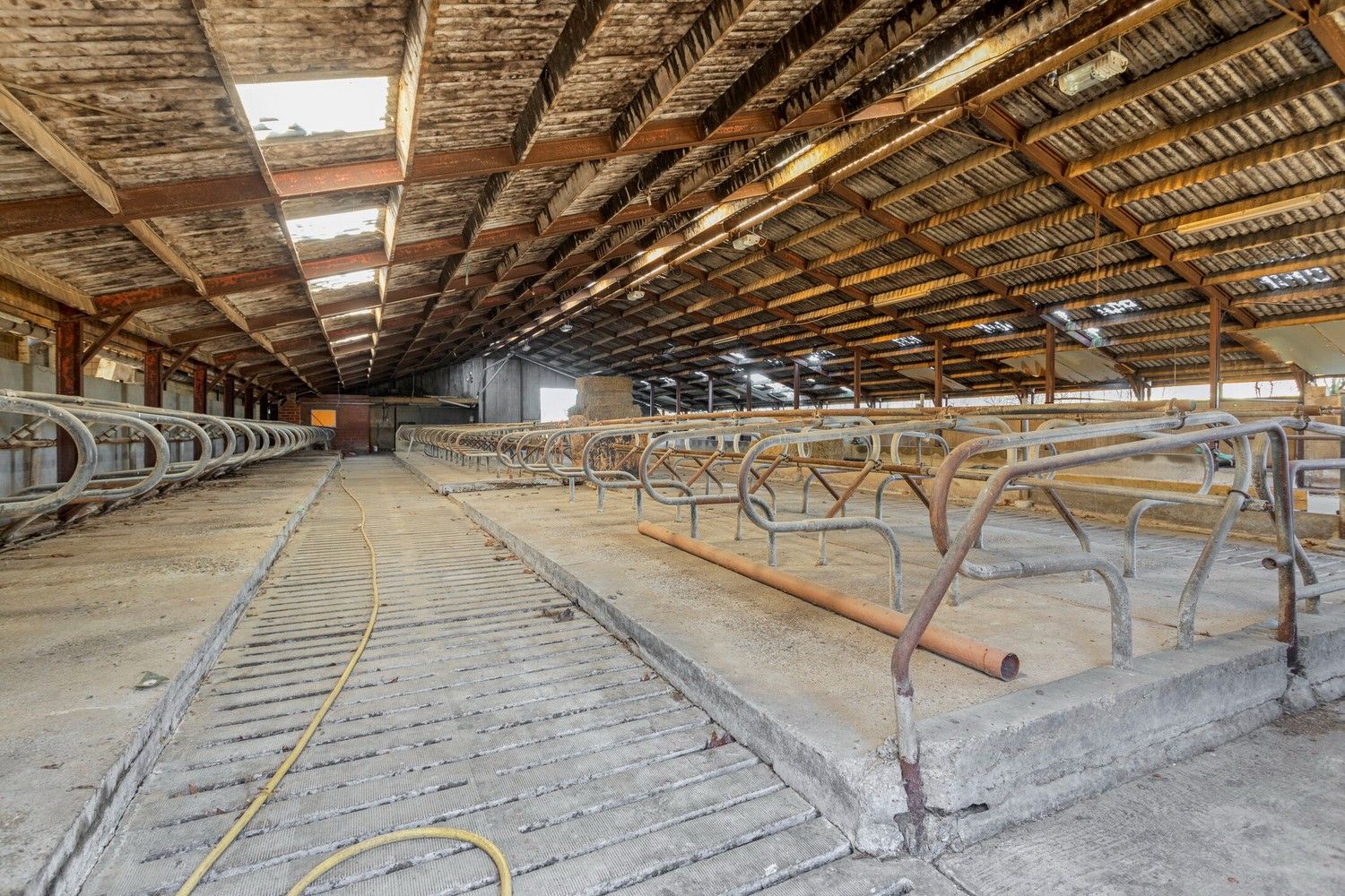 Prachtige boerderij op 1,4 hectare grond in Rekem/Lanaken foto 21