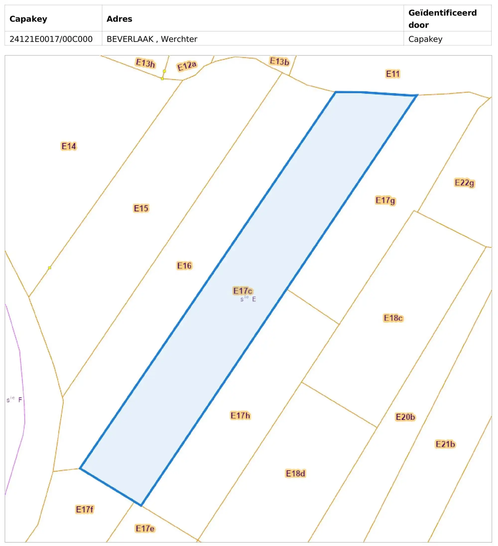 Landbouwgrond op 50 are in Rotselaar foto 2