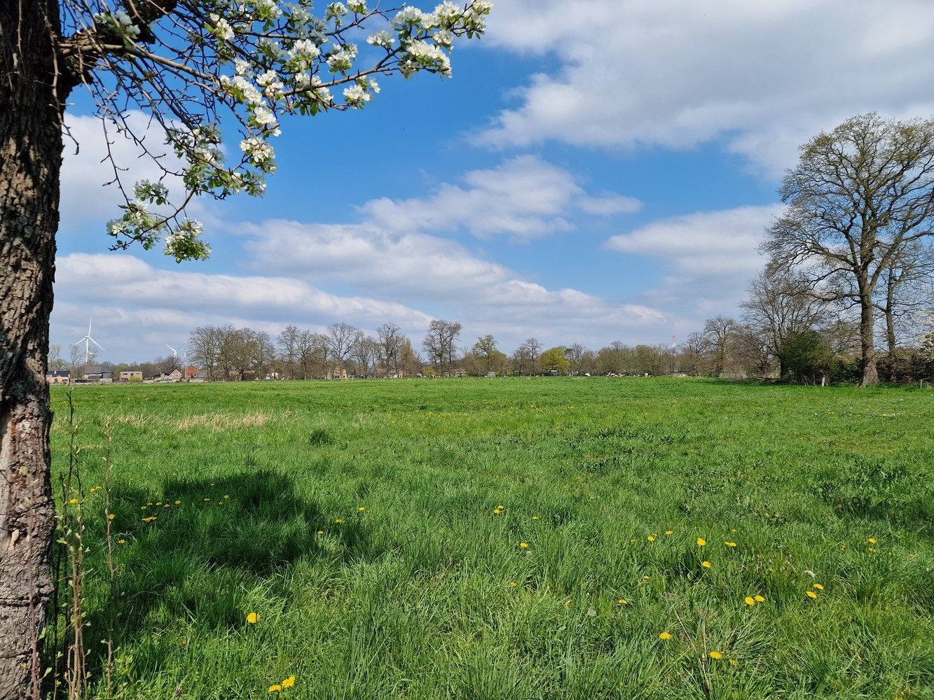 Hoeve Op de hoef foto 7