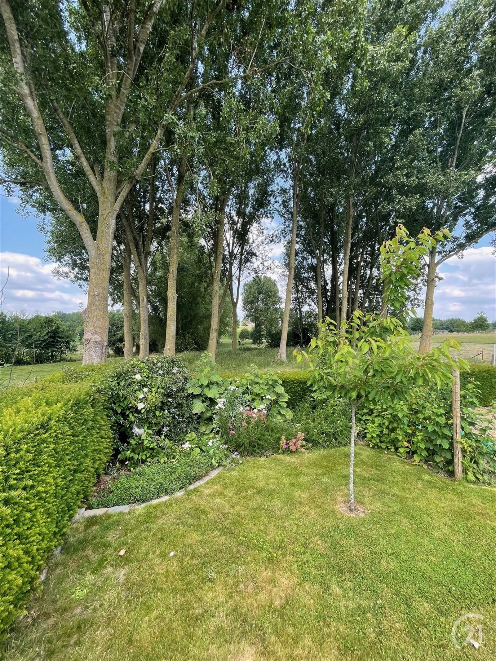 Ruime villa met prachtig zicht op 10are53 foto 29