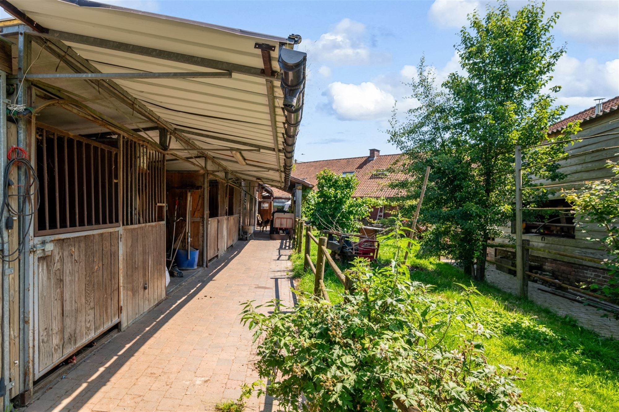 Hoeve met ruime schrijnwerkerij en accomodatie voor paarden foto 22