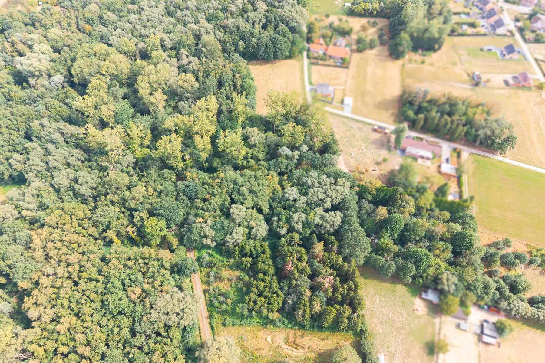 Prachtig stuk natuur foto 9