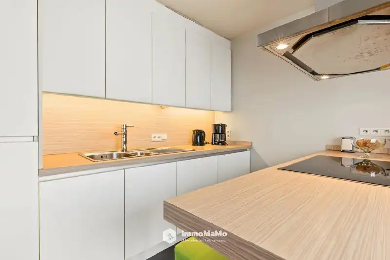 RUIM 2 SLAAPKAMER APPARTEMENT TE KOOP IN WACHTEBEKE foto 9