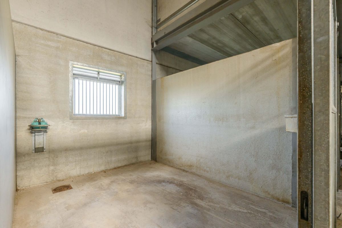 Hippisch complex te koop te Oudenburg dicht bij de kust foto 15