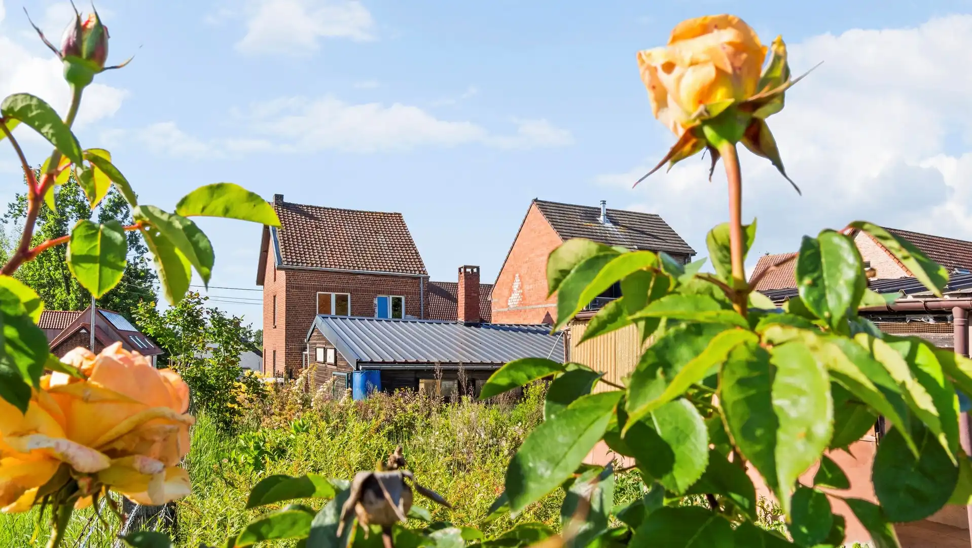 Nieuwe voorwaarden voor deze te renoveren halfopen woning op een prachtig perceel van 1900m² foto 6
