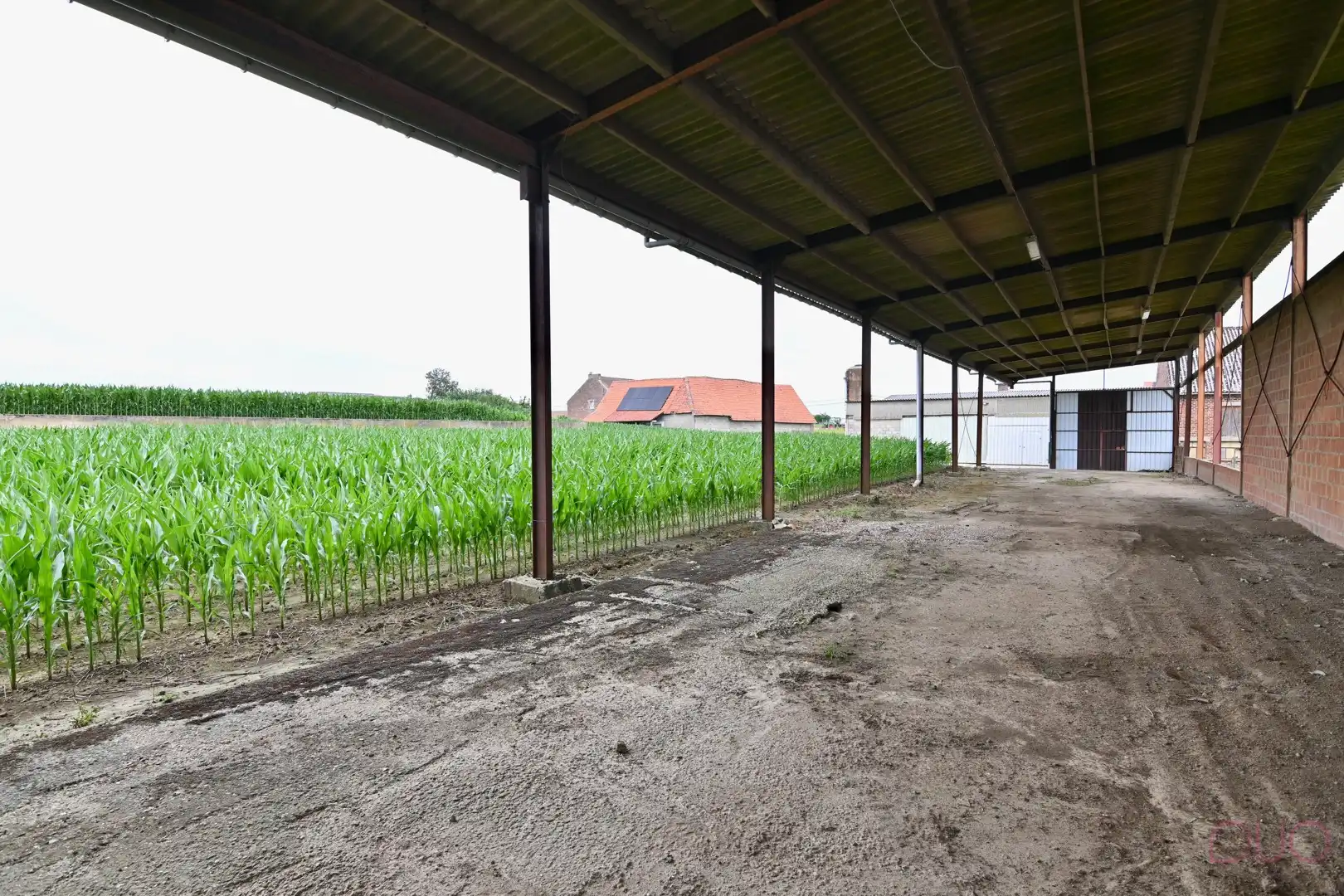Hoevewoning op een perceel van 69a20ca met een veestal van 391m2 en een open schuur van 355m2 foto 13