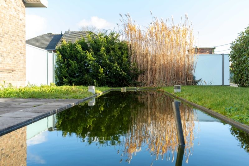 Roeselare-centraal.  KMO-SITE van +/- 3000m2 LOODSEN EN KANTOOR, aparte villa op uitstekende ligging. Ideale opbrengsteigendom of investering met doorgroei. Perceel van 8000 m2 foto 4