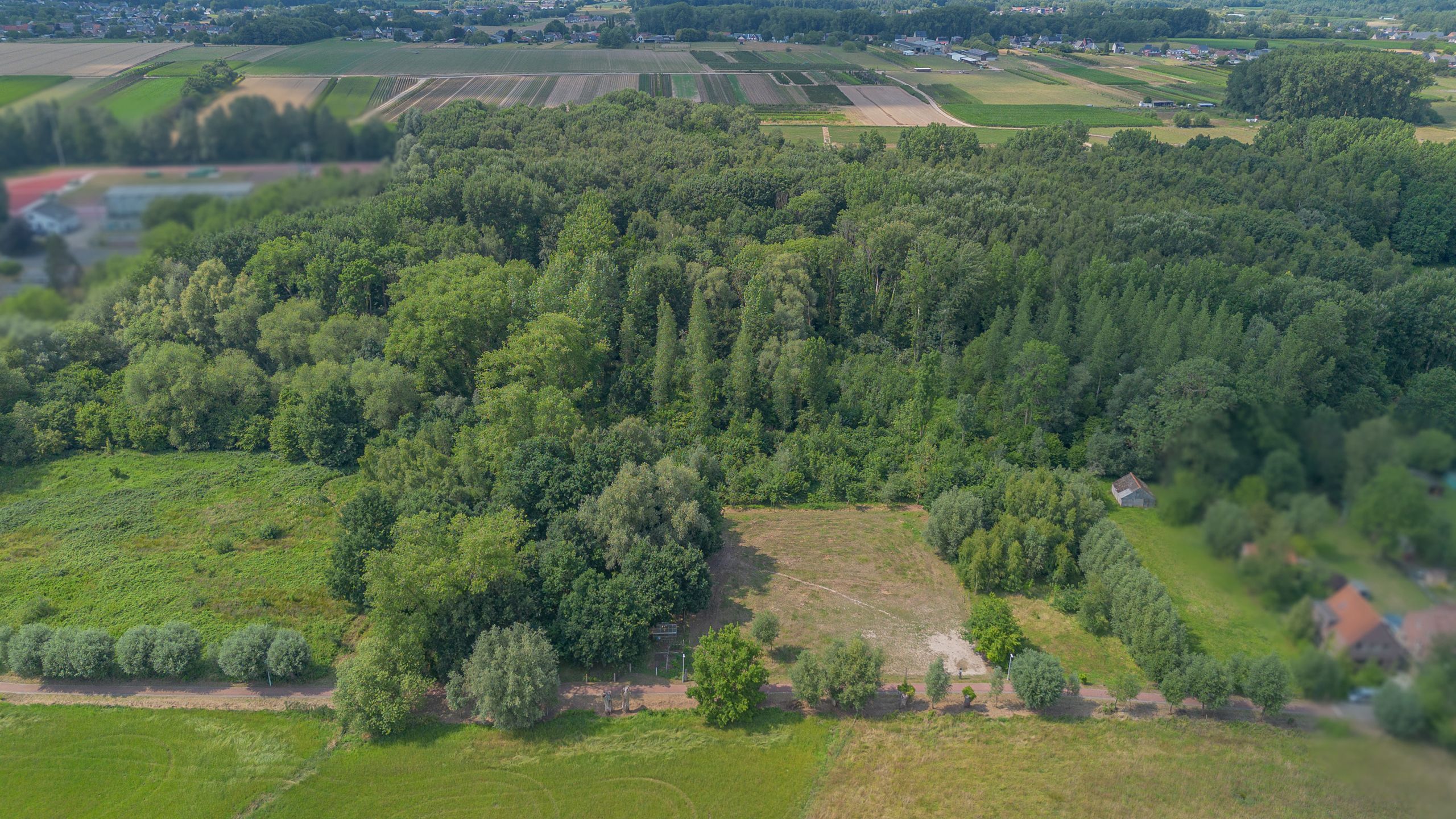OORDEGEM - bos 2ha 21ca foto 8
