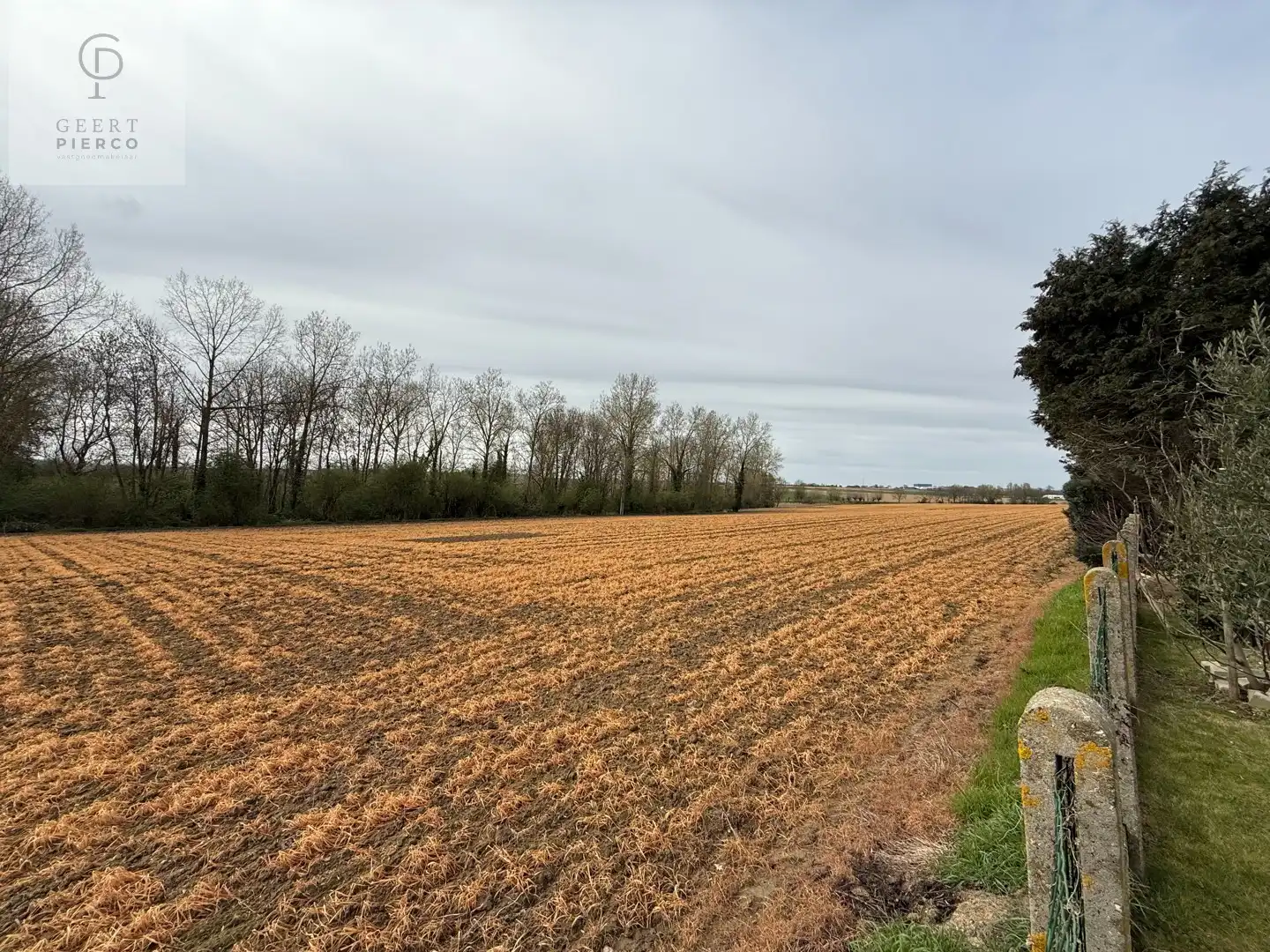 Gezellige bungalow foto 37