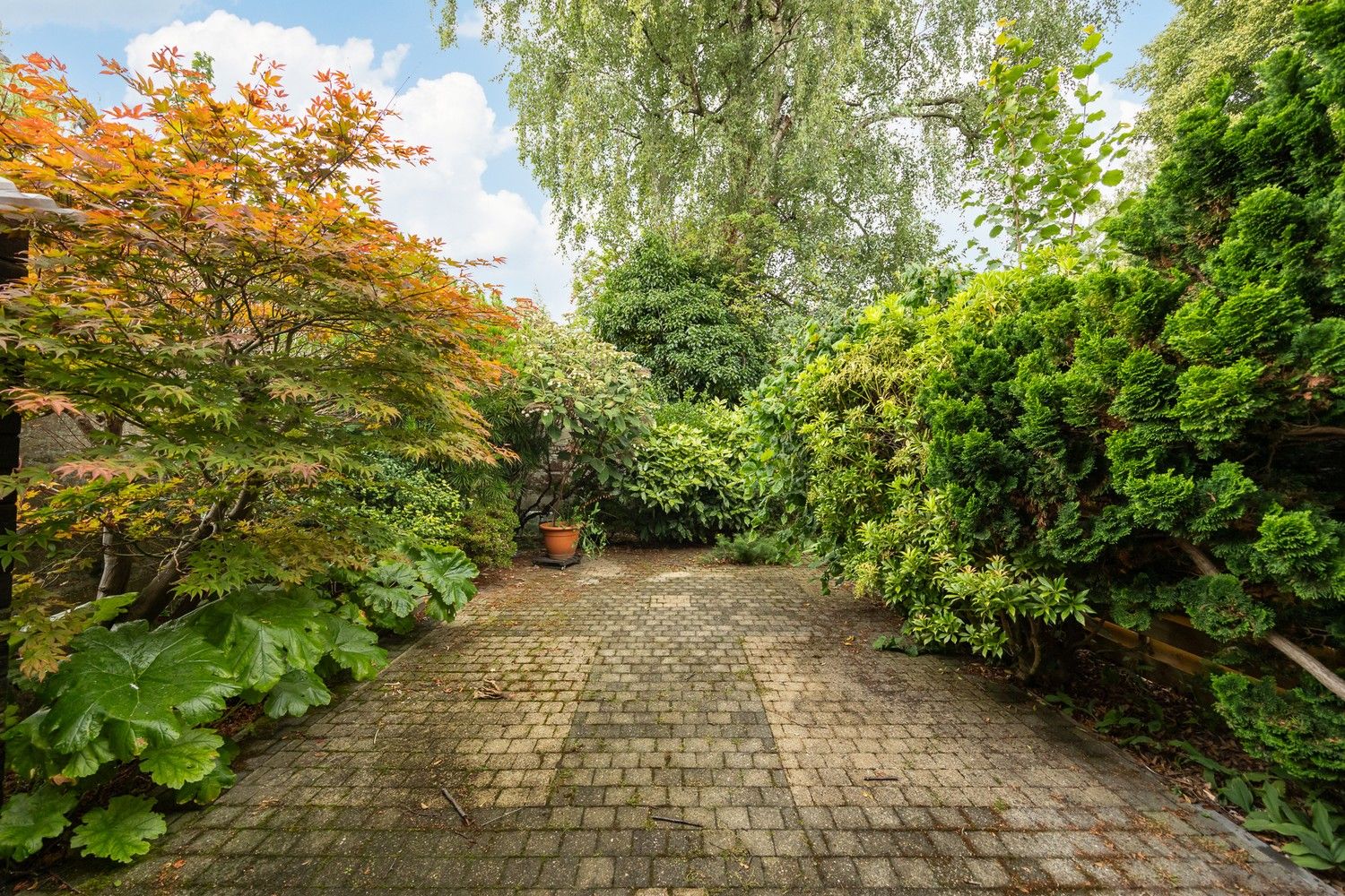Te renoveren opbrengsteigendom met 3 éénslaapkamerappartementen nabij het Boekenbergpark foto 7