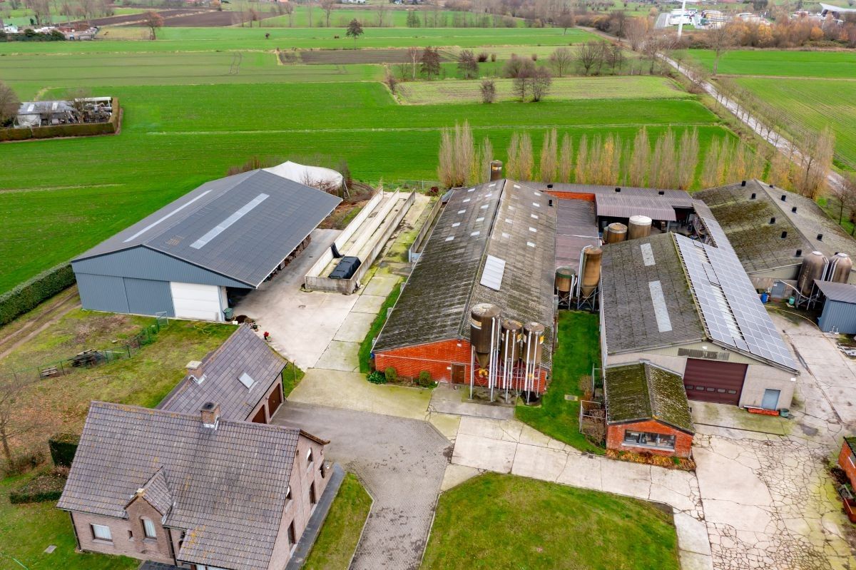Varkensbedrijf te koop te Lochristi foto 7