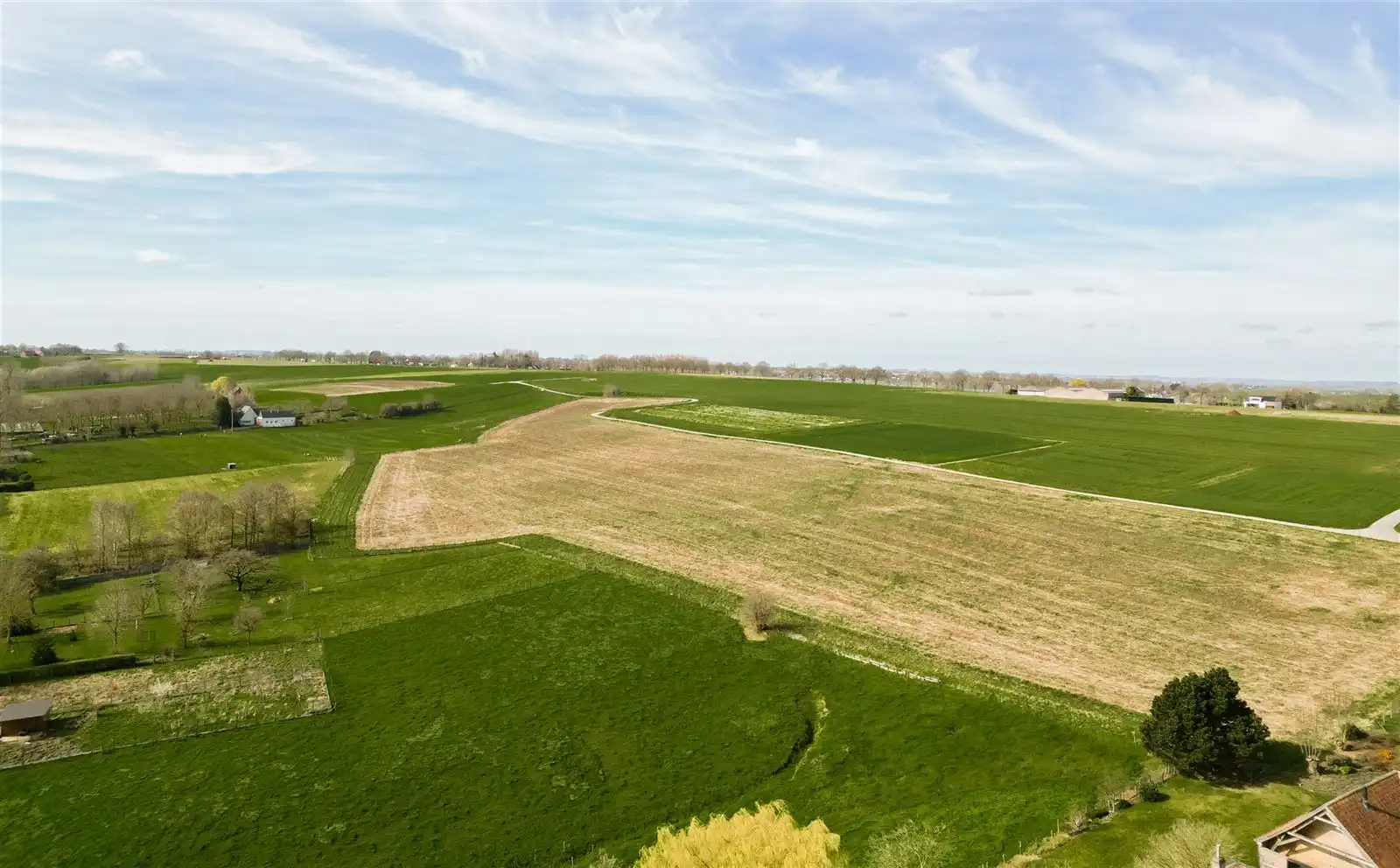 Unieke bouwgrond voor een open bebouwing te Rozebeke! foto 5