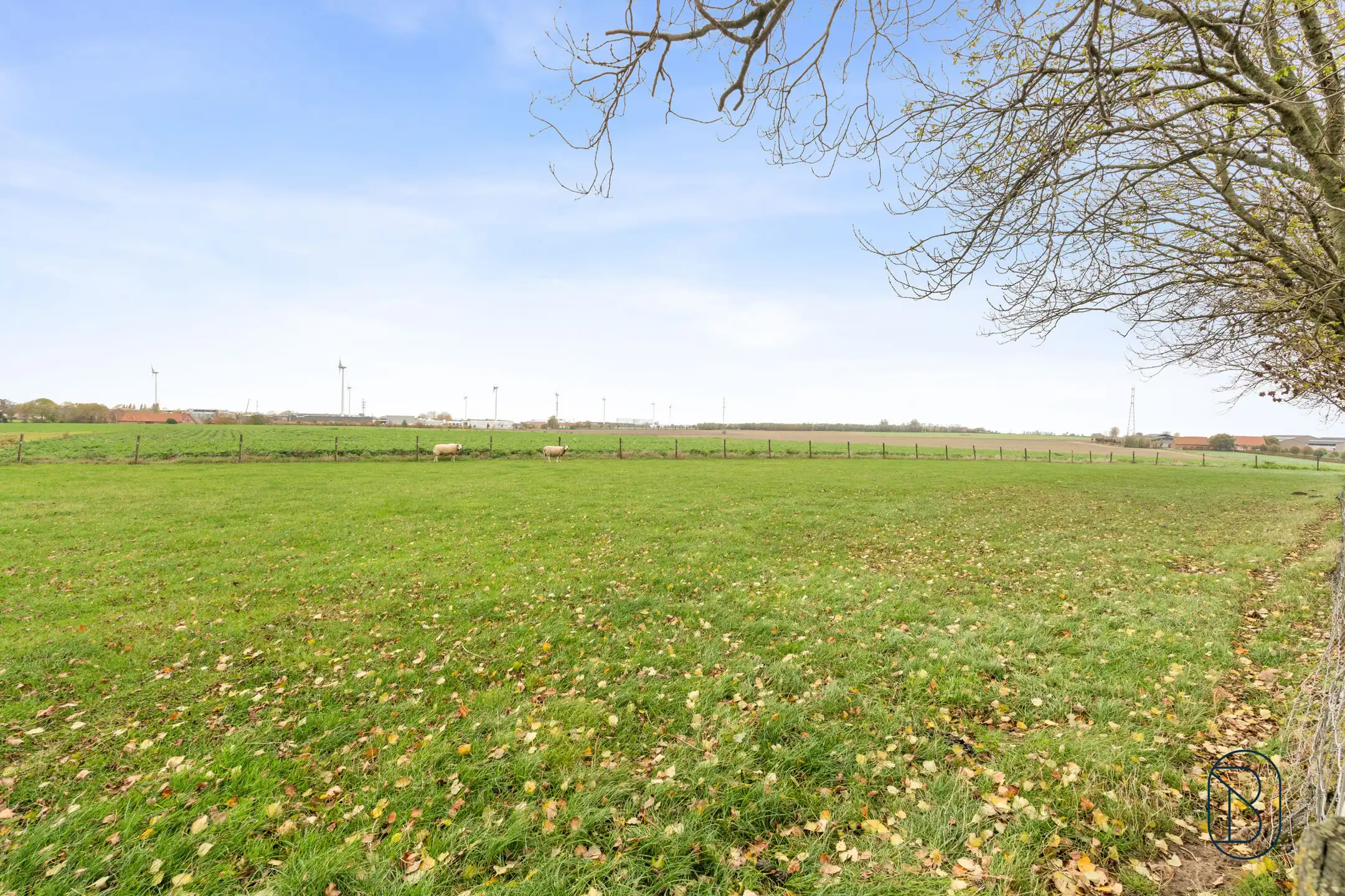 Unieke charmante vierkantshoeve op 1 hectare grond te Ieper foto 24