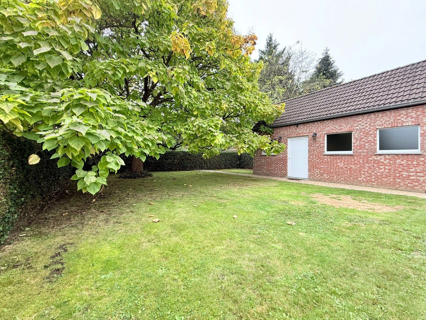 Gezellige woning met drie slaapkamers foto 22