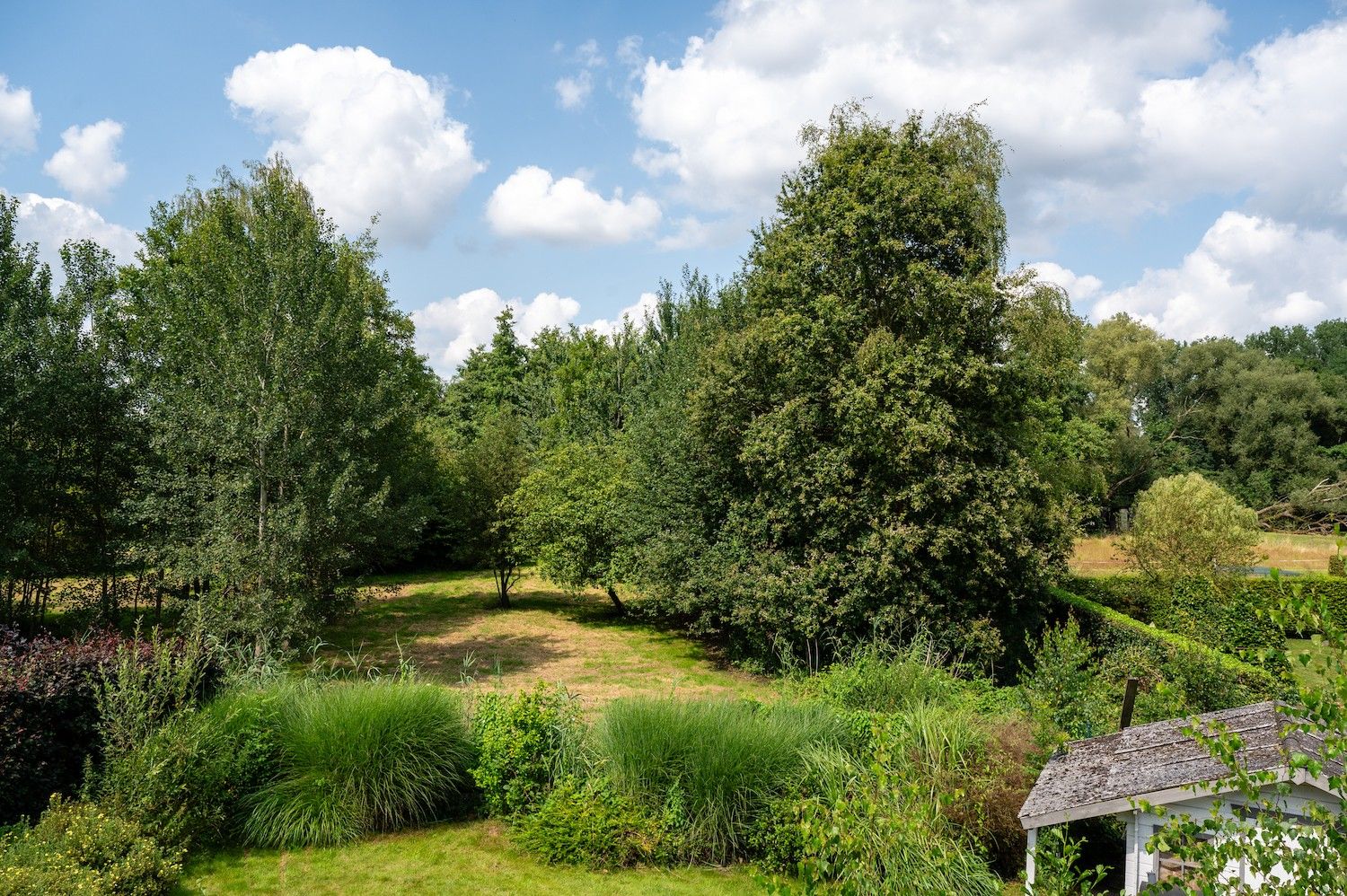 Vrijstaande woning, volledig vernieuwd, gelegen in een zeer rustige straat met prachtig groen verzicht foto 3