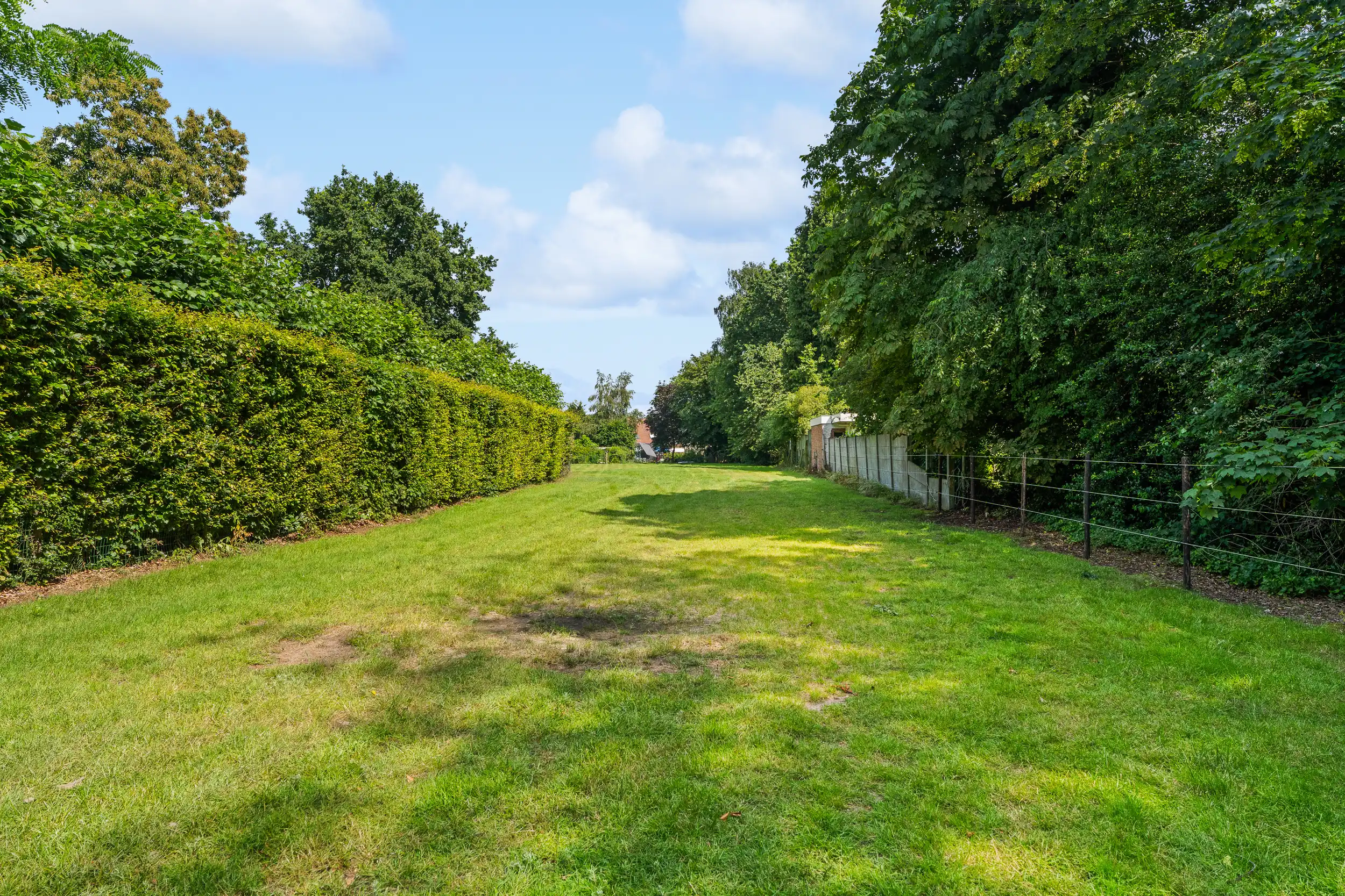 Gerenoveerde woning + achterliggend perceel ( 3.359 m²) foto 5