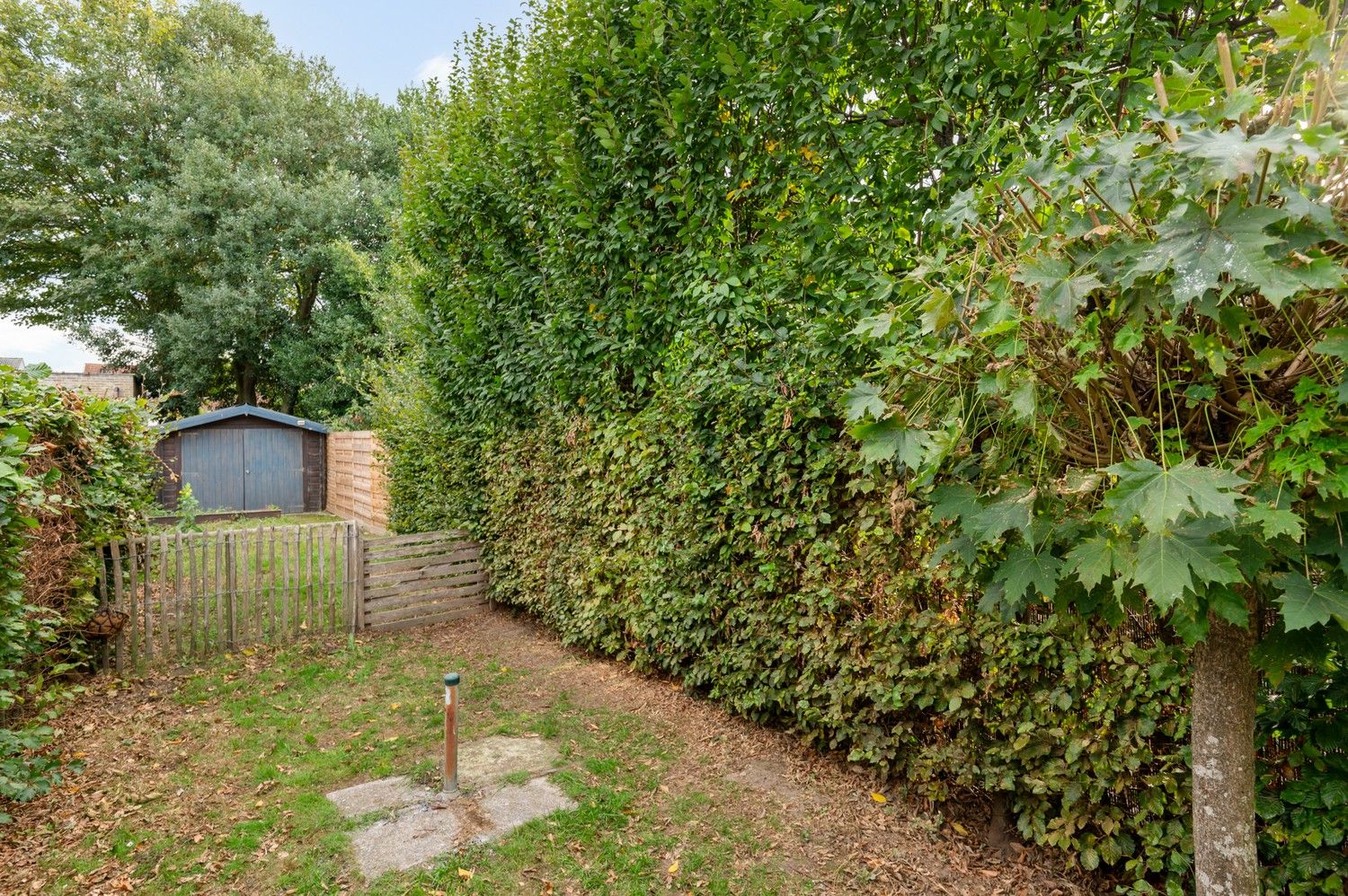 Prachtig herenhuis met 4 slaapkamers en tuin in Wijnegem! foto 20
