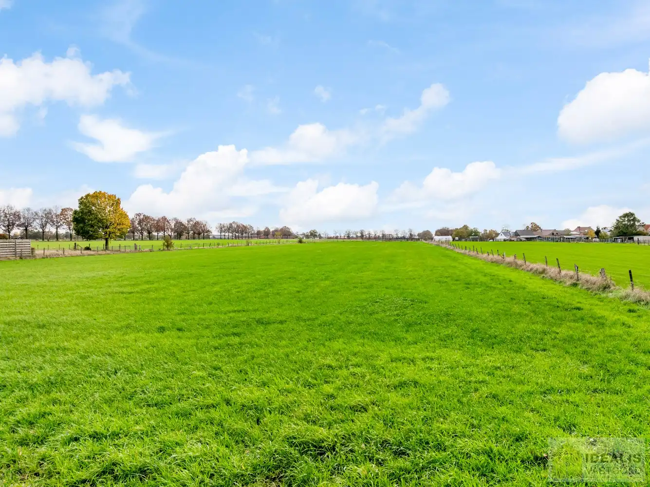 Landbouwgrond met een oppervlakte van 93a 50ca. De grond is centraal gelegen t.o.v. het centrum van Peer, Meeuwen (Oudsbergen) en Houthalen-Helchteren. foto 12