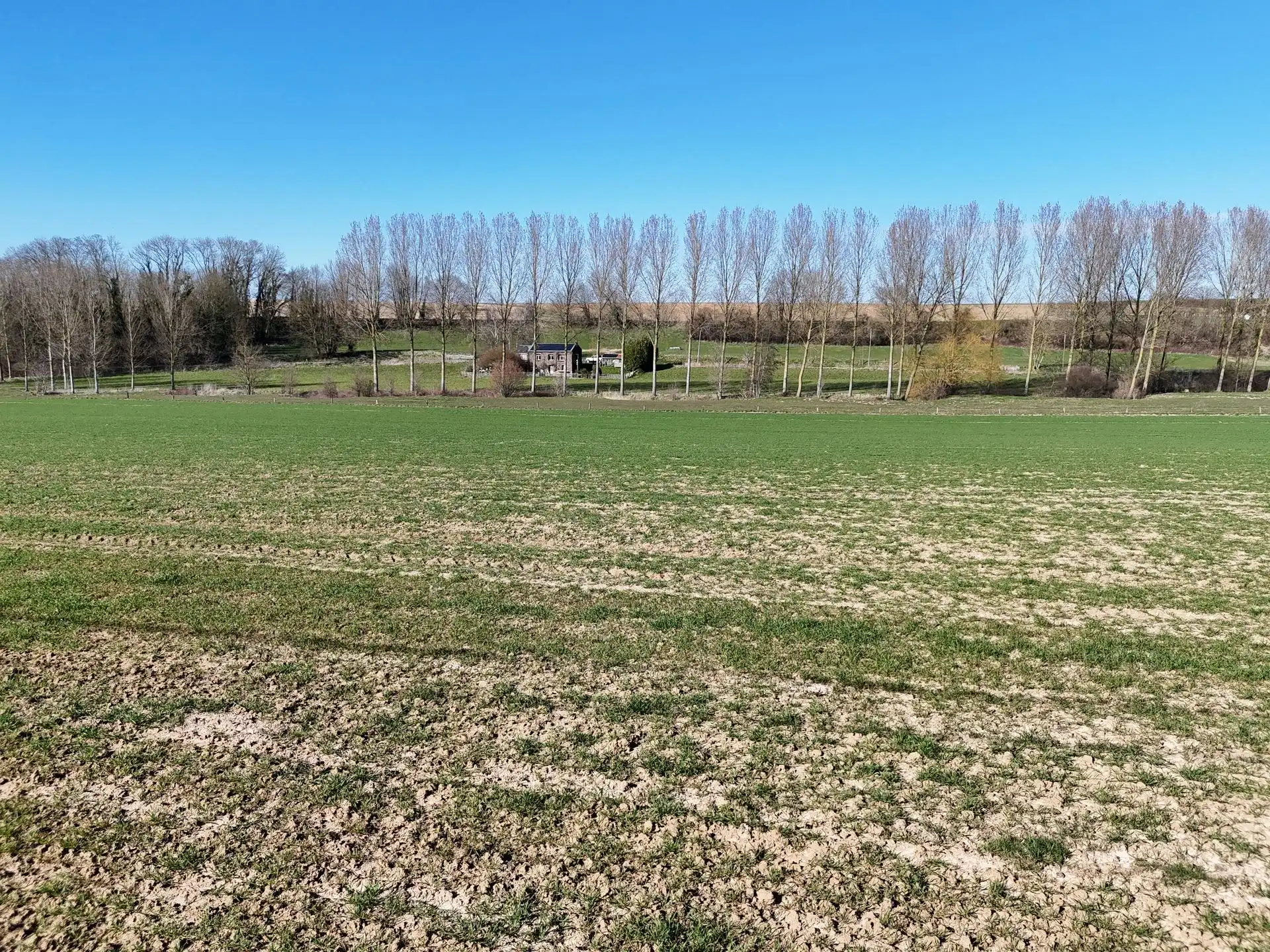 Groot perceel landbouwgrond - BLOK C foto 16