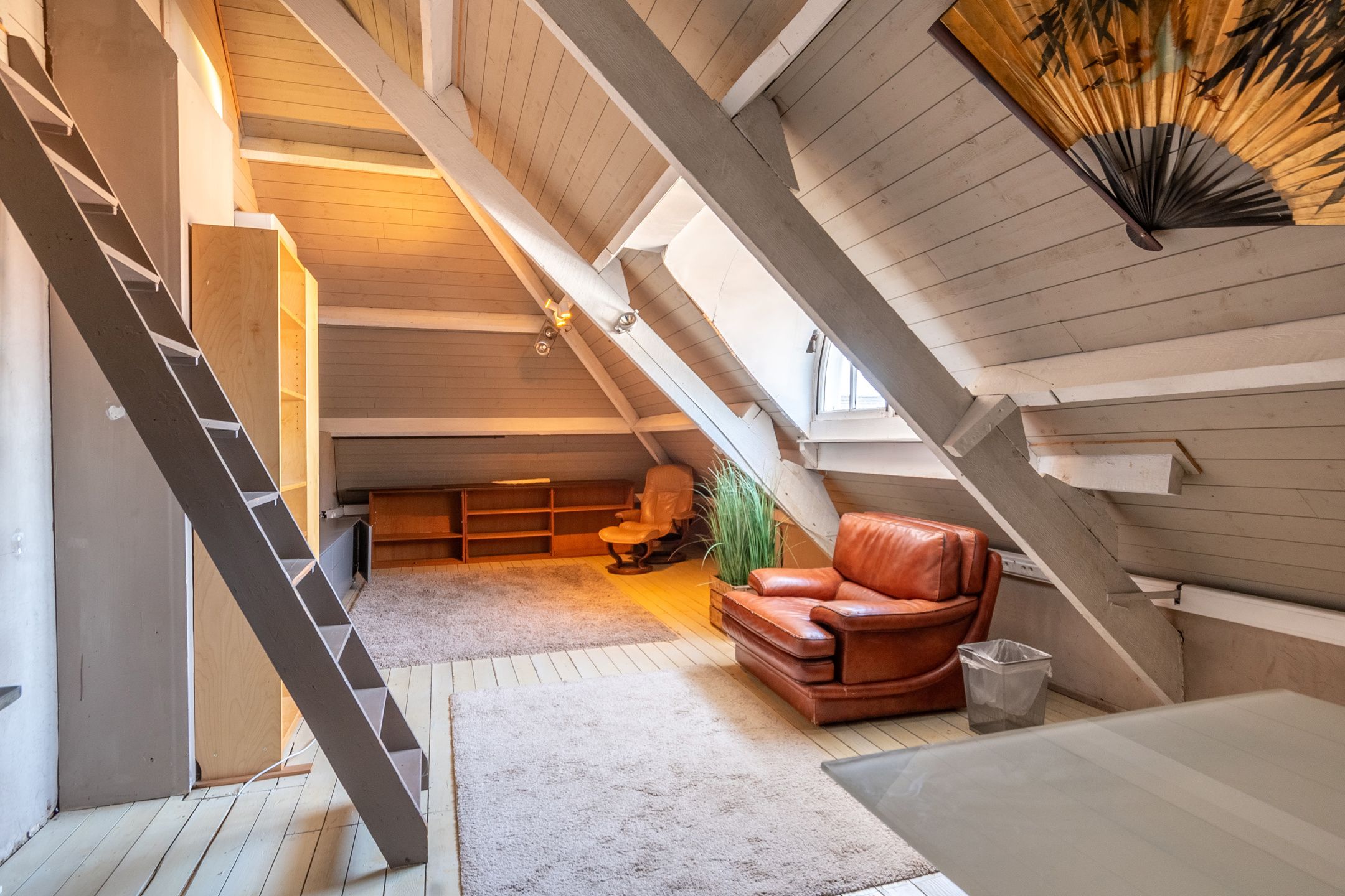 Meesterwoning met zorgflat, loft, burelen en opslag foto 36