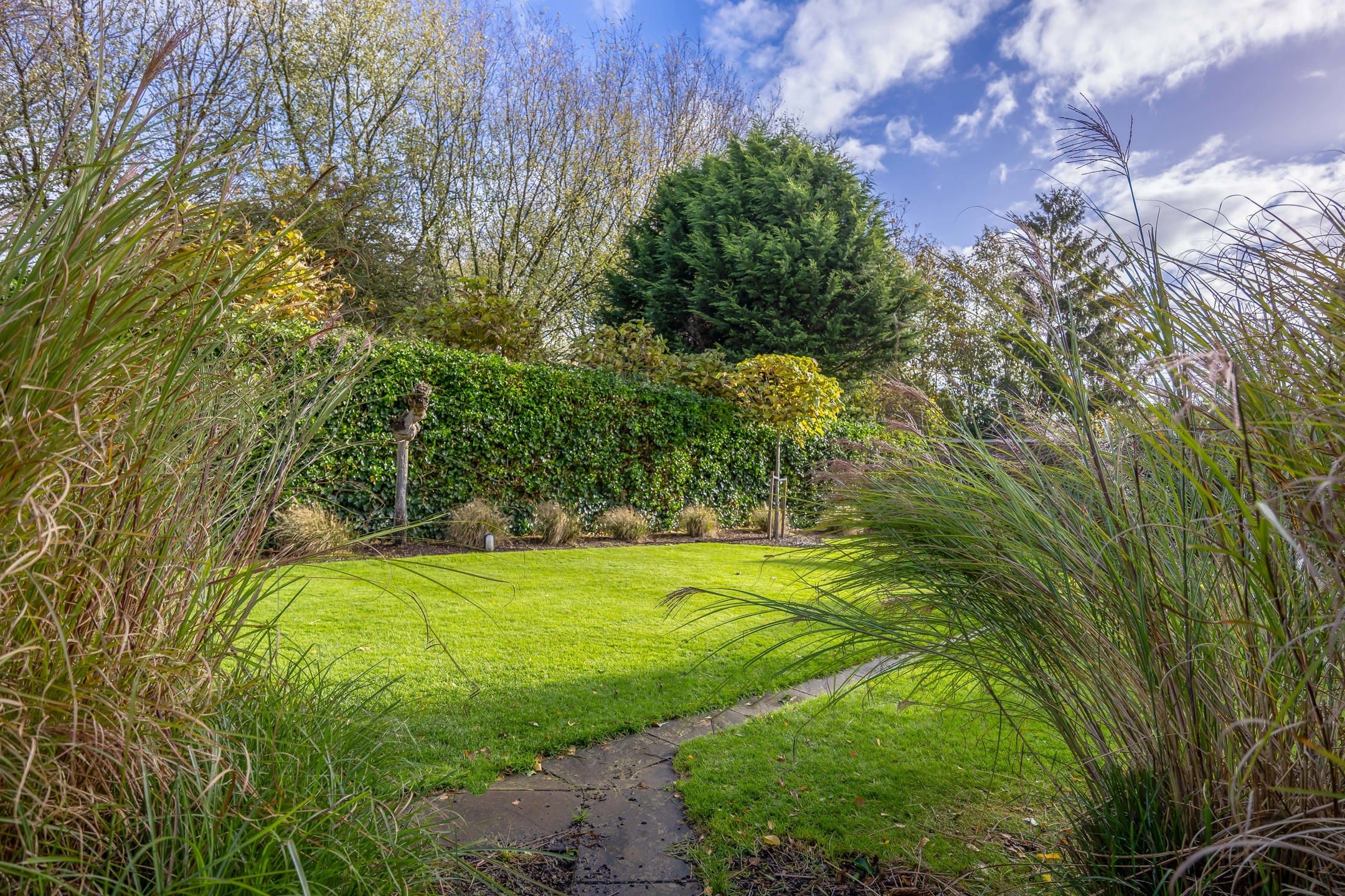 Halfopen bebouwing met tuin en multifunctioneel bijgebouw foto 3