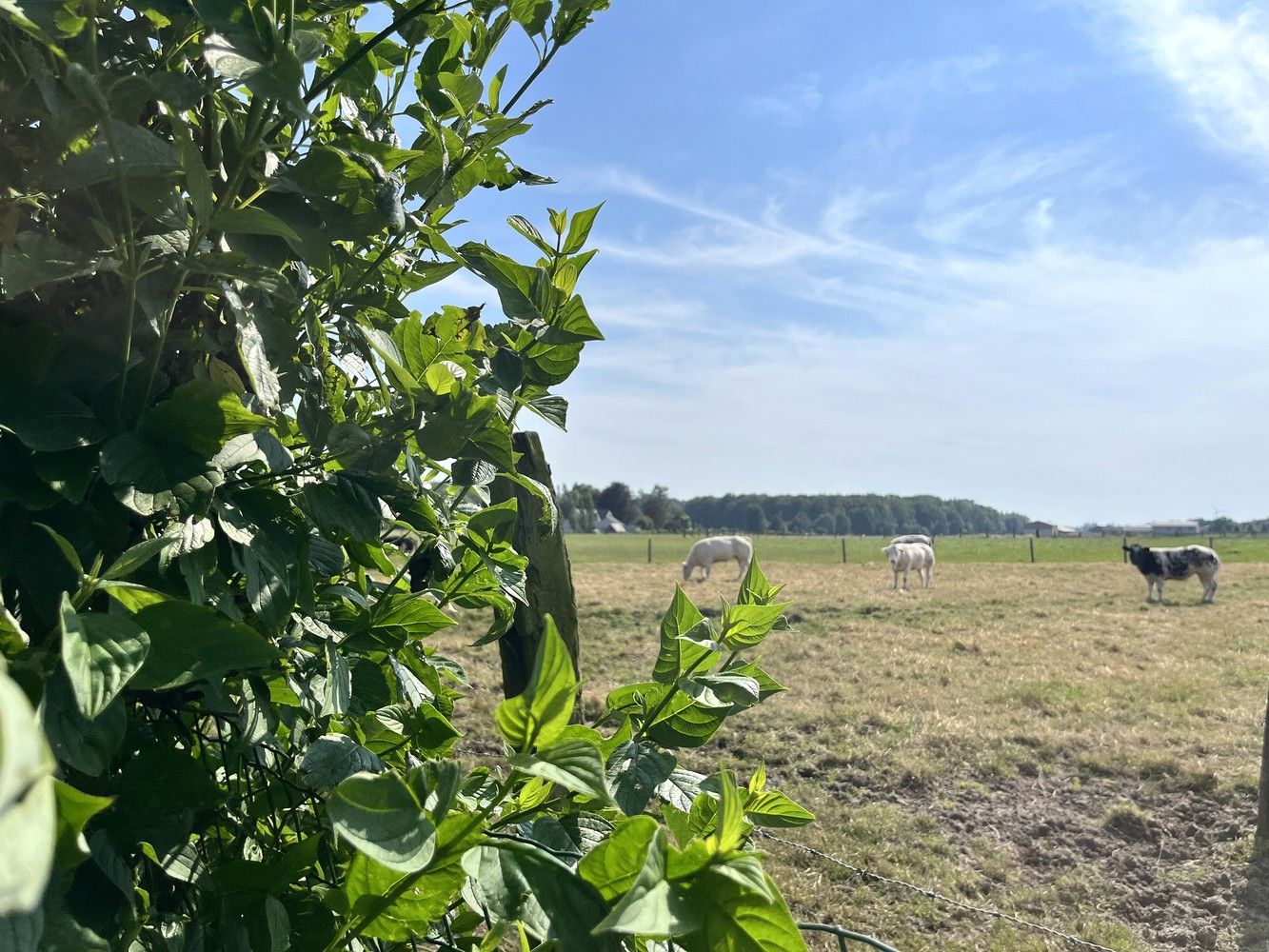 Betoverend Landhuis met 5 Slaapkamers in Meulebeke te koop foto 27