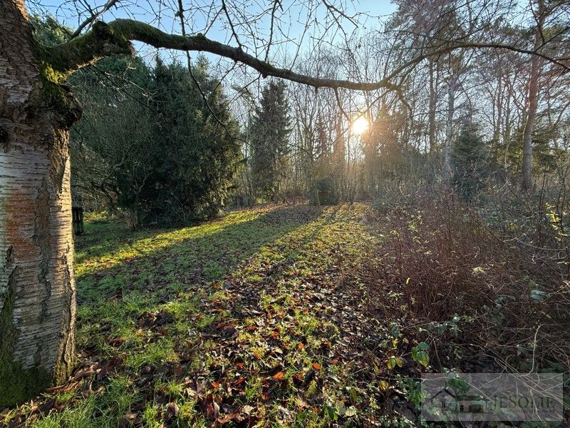 Woning op breed perceel - achterliggend natuurgebied - stal foto 26
