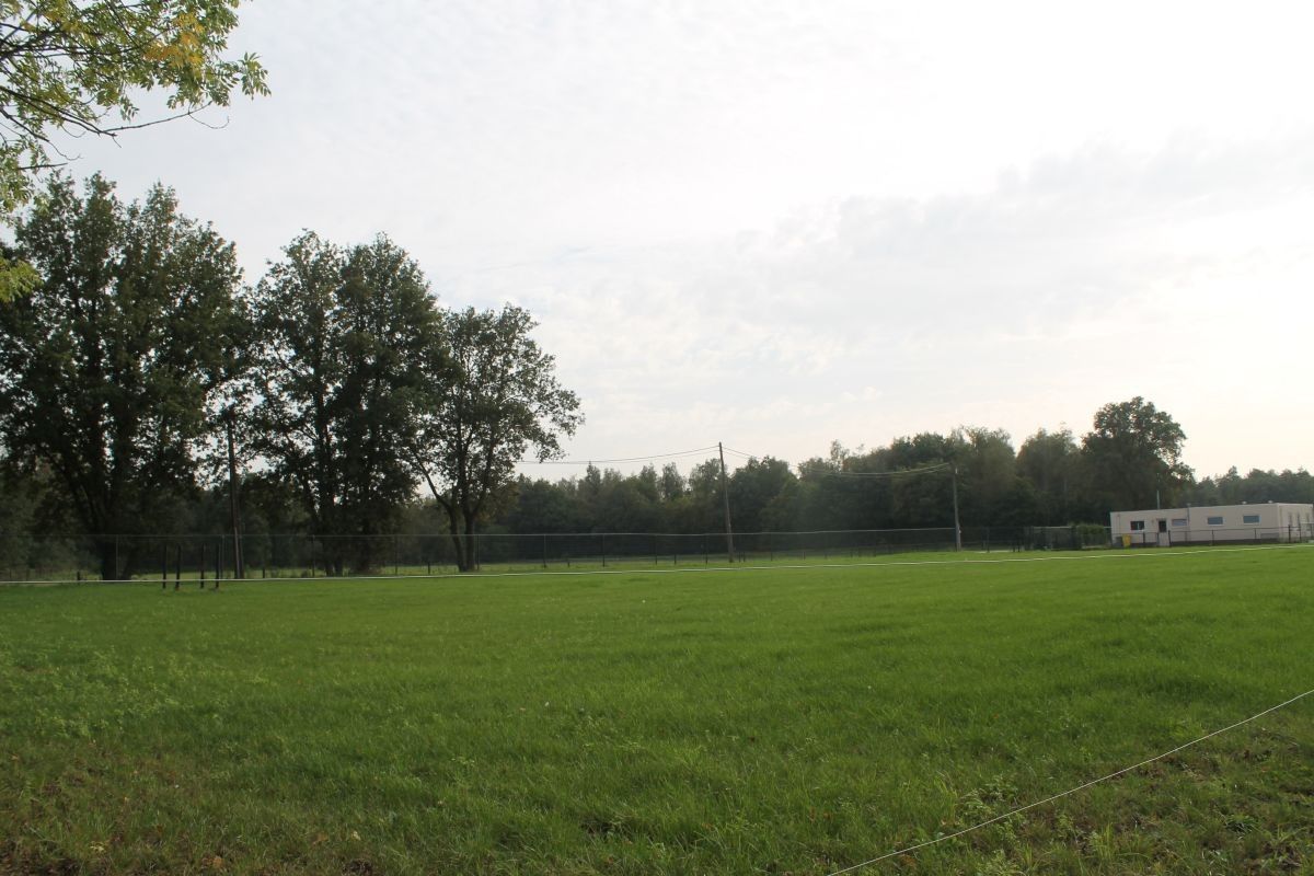 Kalverhouderij + paardenhouderij op ca. 1,5 ha te koop te Ravels foto 16