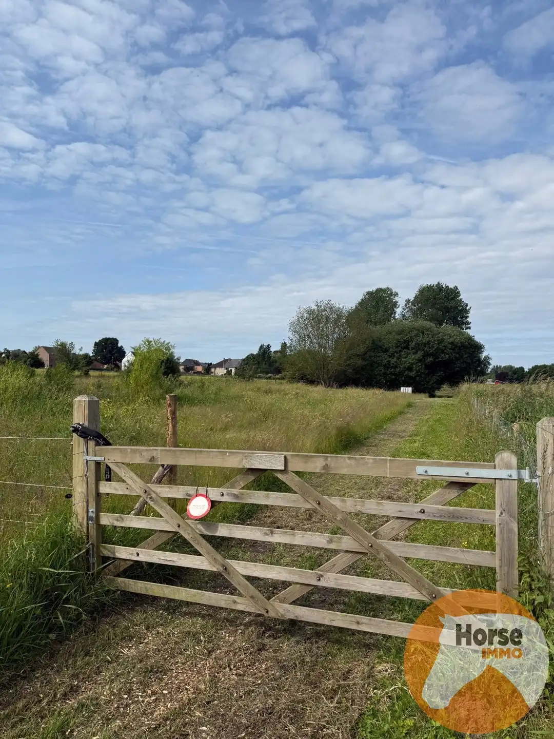 HUMBEEK - Droomplek voor paarden met weide, stallen en piste foto 6