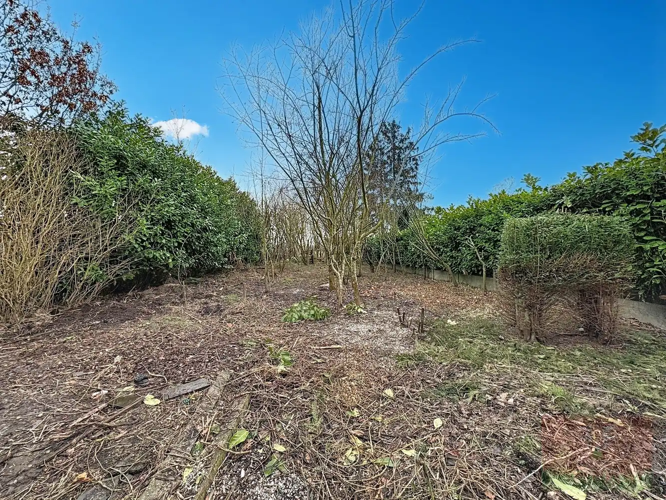 Karaktervolle halfopen gezinswoning aan de stadsrand van Aalst foto 23