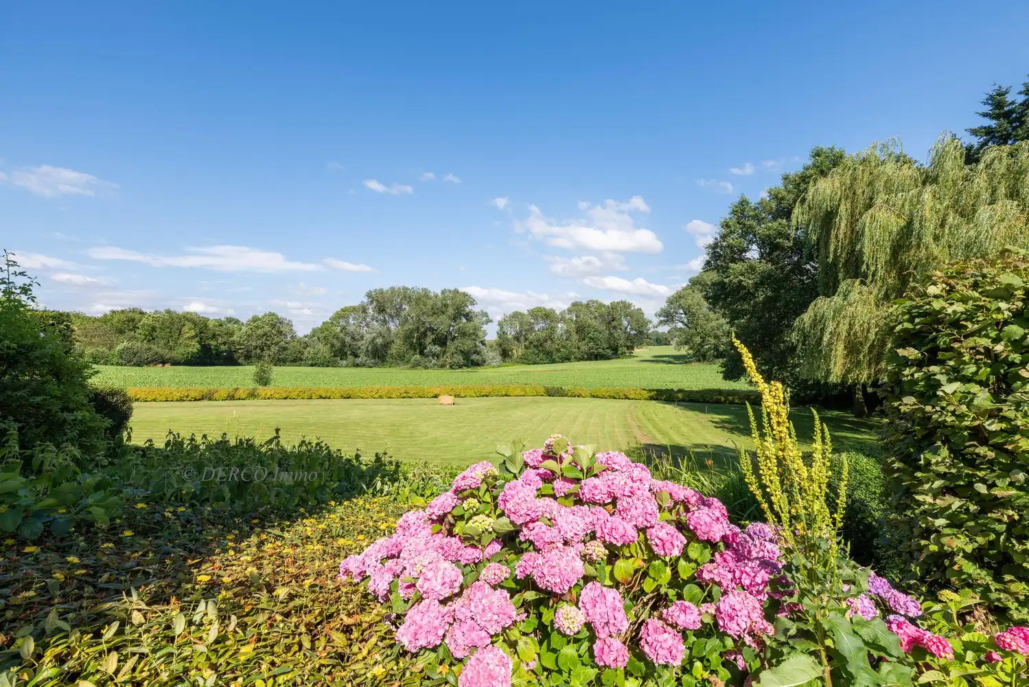 authentieke villa met "een ZIEL" -----  prachtig terrein 14.900 m2  ----- blijvende VERGEZICHTEN op beschermd landschap foto 6
