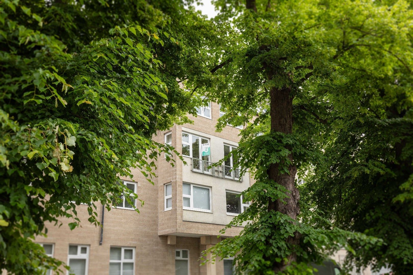 Steeds vernieuwend appartement met zonneterras en prachtig zicht op de Augustijnrei in hartje Brugge. foto 6