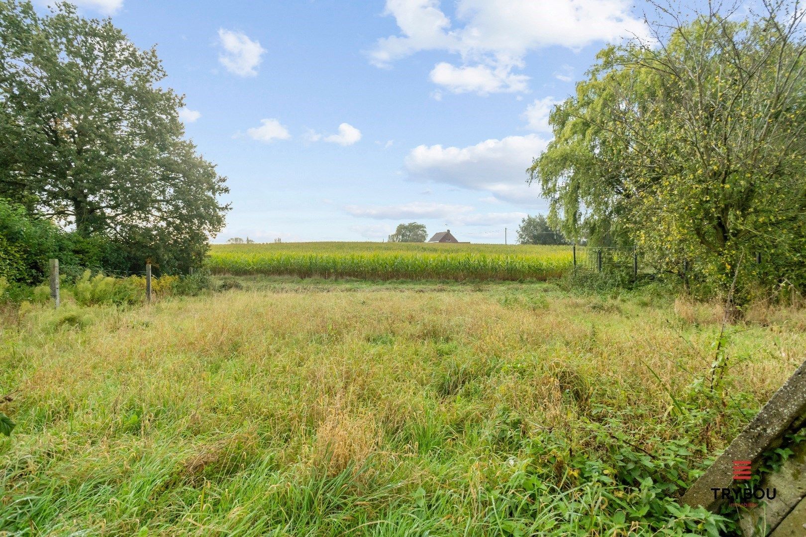 Rustig gelegen open woning op 1593 m² foto 3