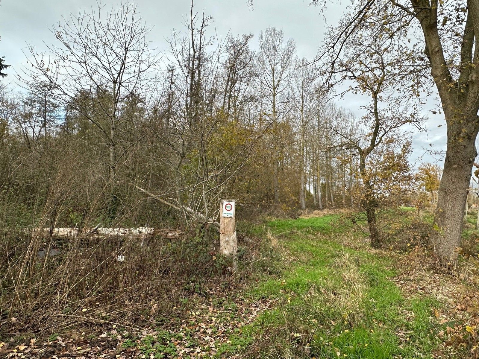 Bosgrond 10.950 m² te HAACHT foto 5