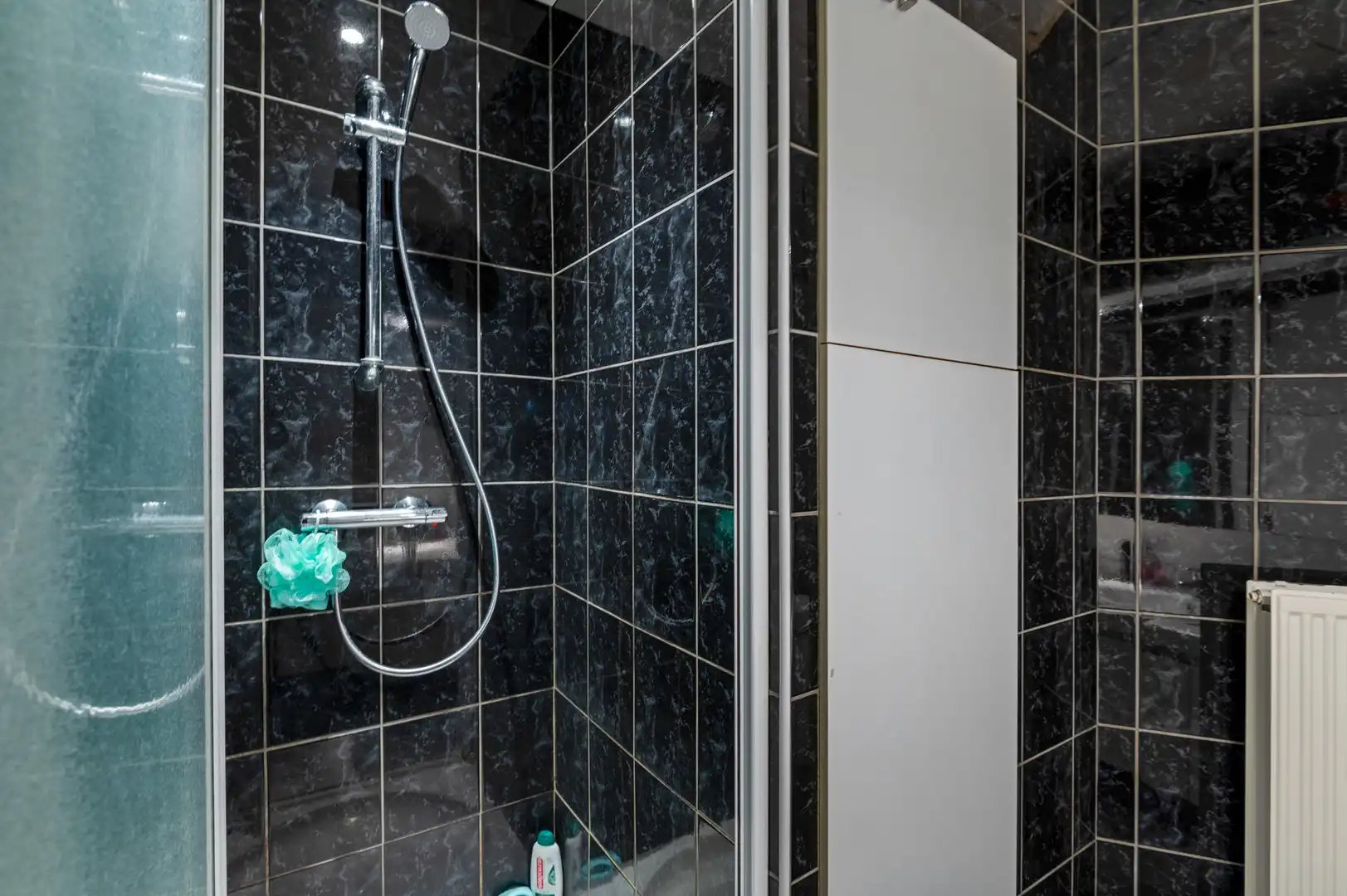 Lichtrijk, energie efficiënt (EPC C) app met zonnige tuin in Schoten foto 7