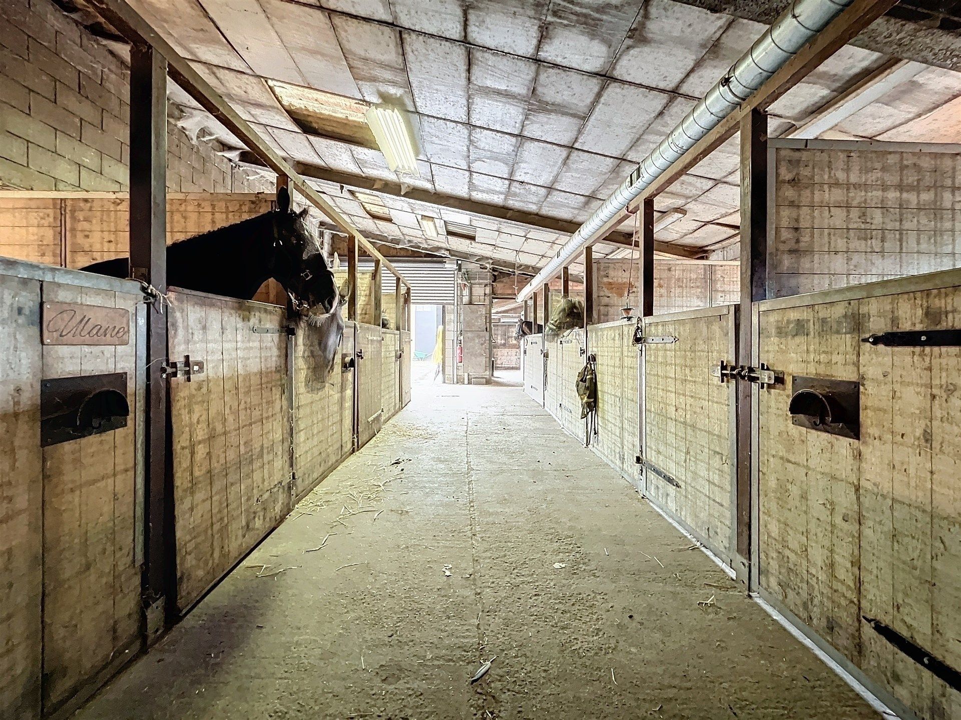 PRACHTIG GELEGEN HOEVE met bijgebouw, paardenstallen, binnenpiste en weiden op 18.385m² foto 10