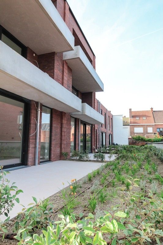 Hectaar bouwt 6 moderne appartementen in het centrum van Kortrijk foto 4