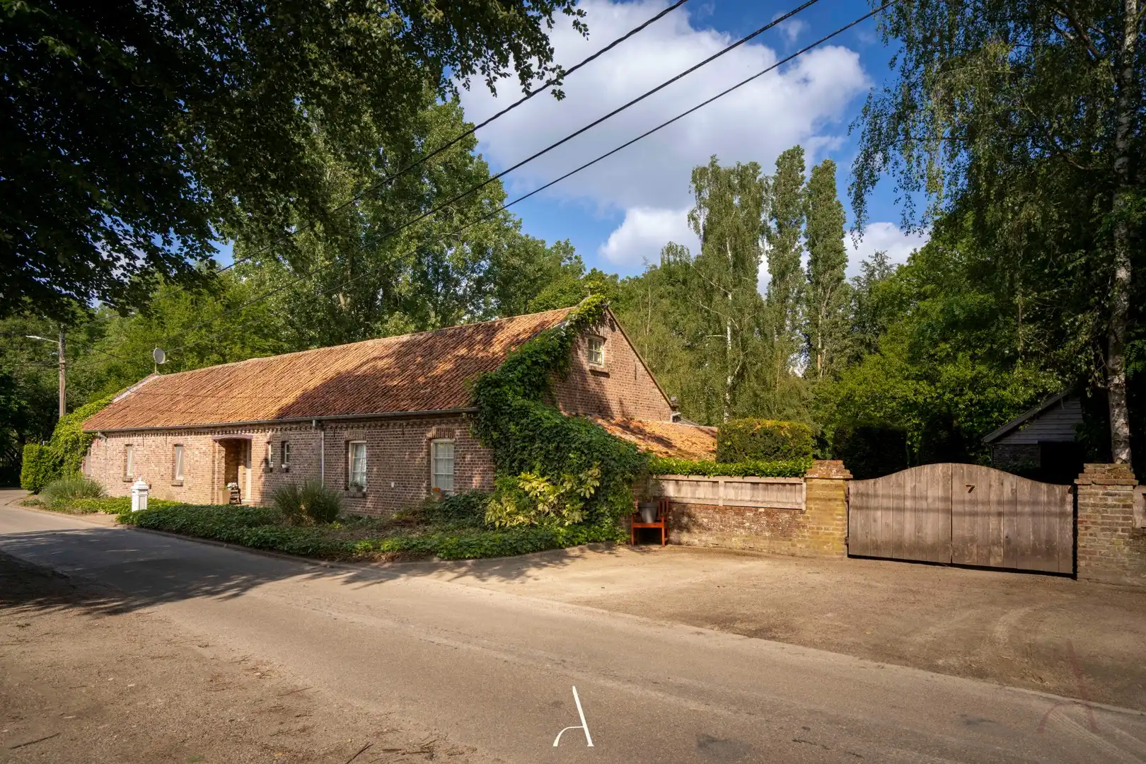 Authentieke langegevelhoeve op ruim 1 hectare in landelijke omgeving van Molenbeersel foto 34