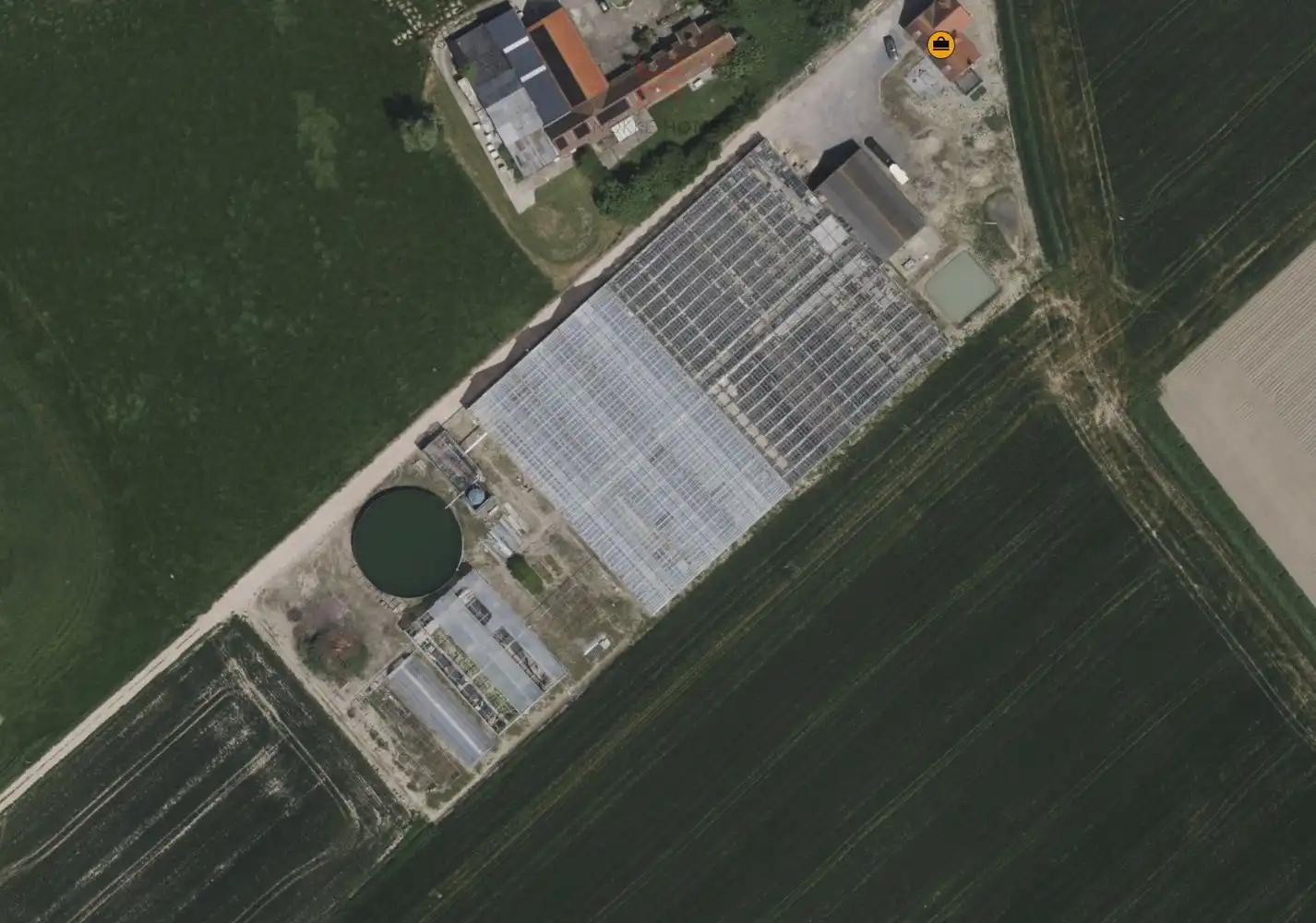 Ca.5.000 m2 serres met loods - bestemd voor agrarische doeleinden. foto 9