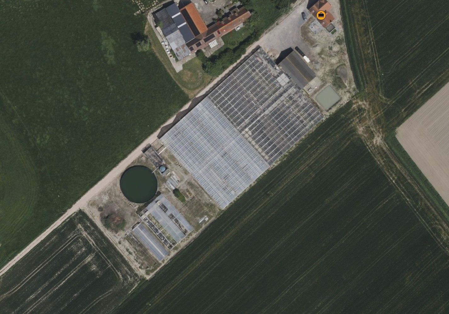 Ca.5.000 m2 serres met loods - bestemd voor agrarische doeleinden. foto 9