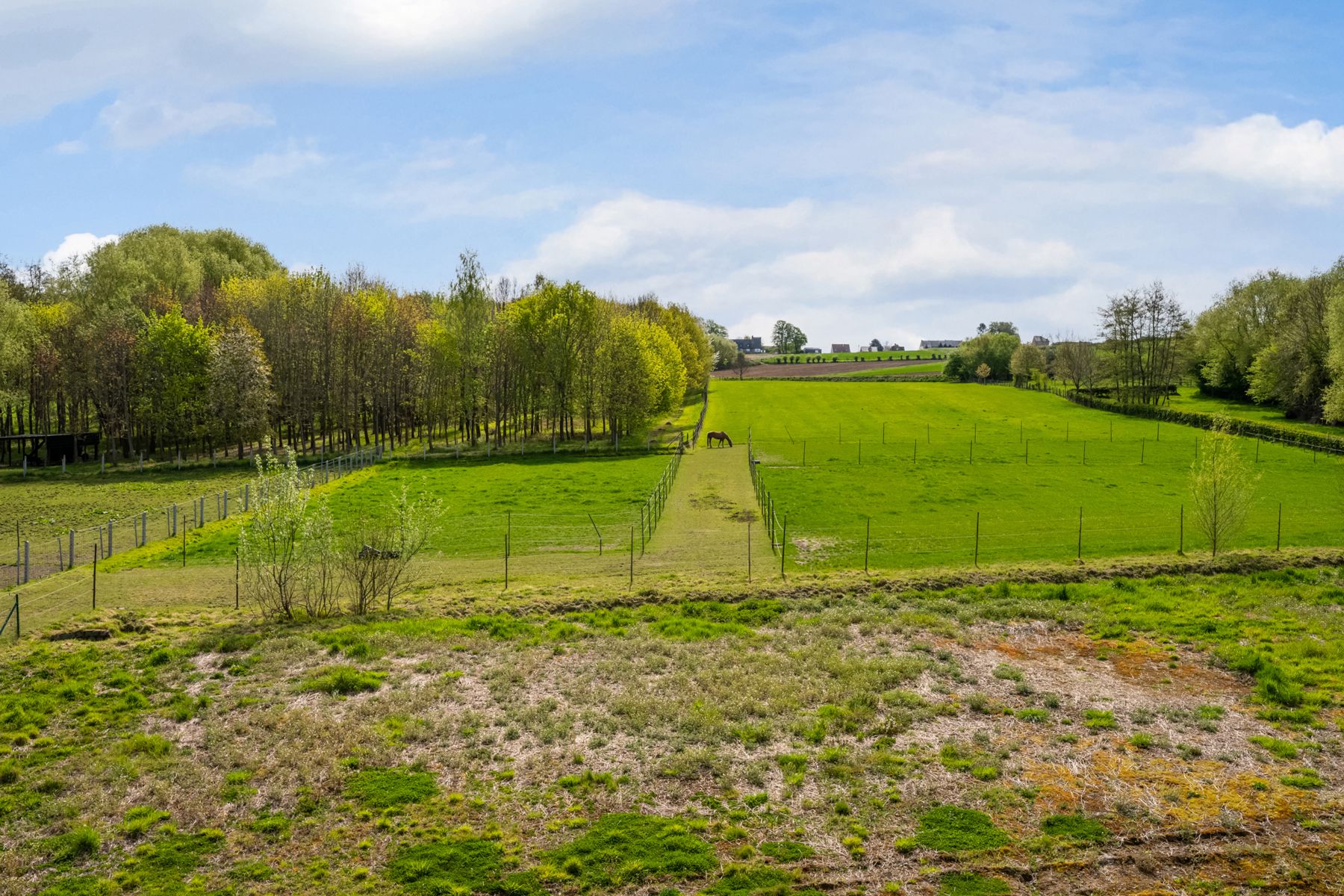 Instapklare nieuwbouwwoning met uitzicht op de velden foto 2
