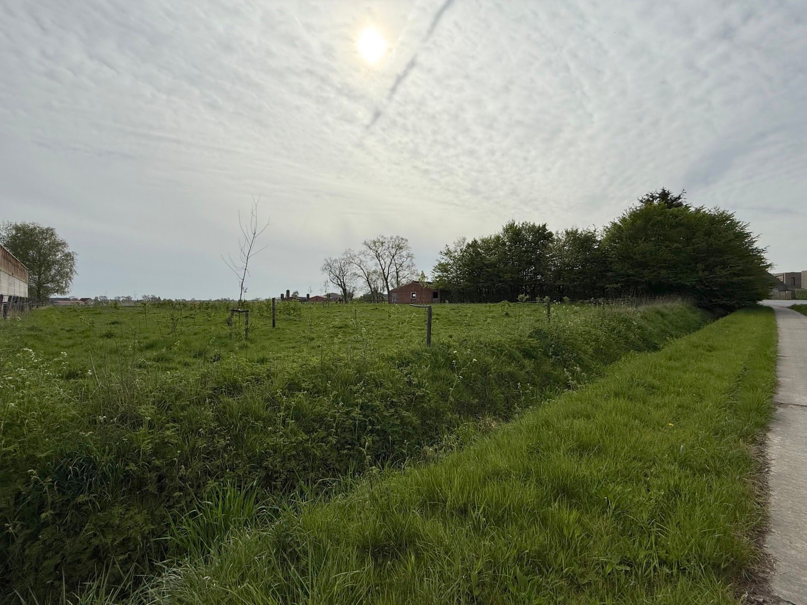 Te renoveren hoeve met woning en verschillende bijgebouwen foto 19