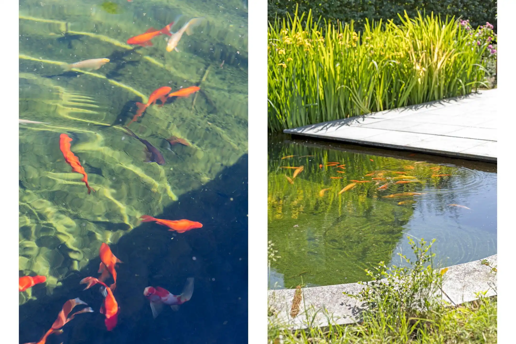 Instapklaar pareltje met paradijselijke parktuin foto 25