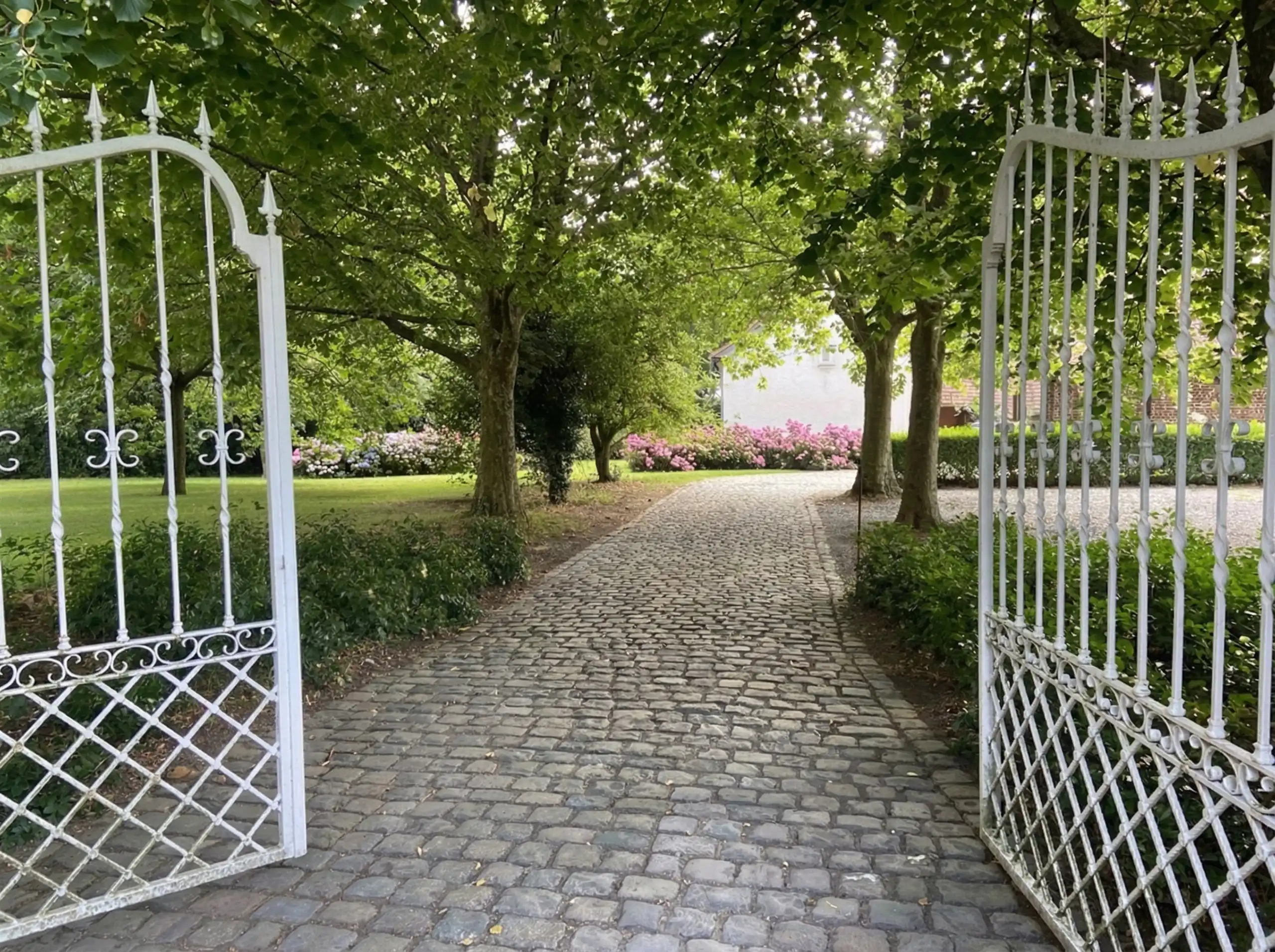 Hoofdfoto van de publicatie: We konden niet langer zwijgen...Coming soon op 8.069 m²