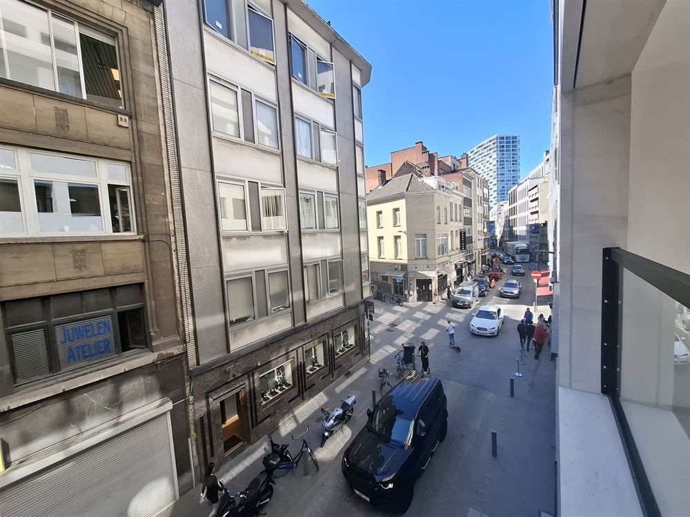 Gerenoveerd appartement | Antwerpen-Centrum  foto 14