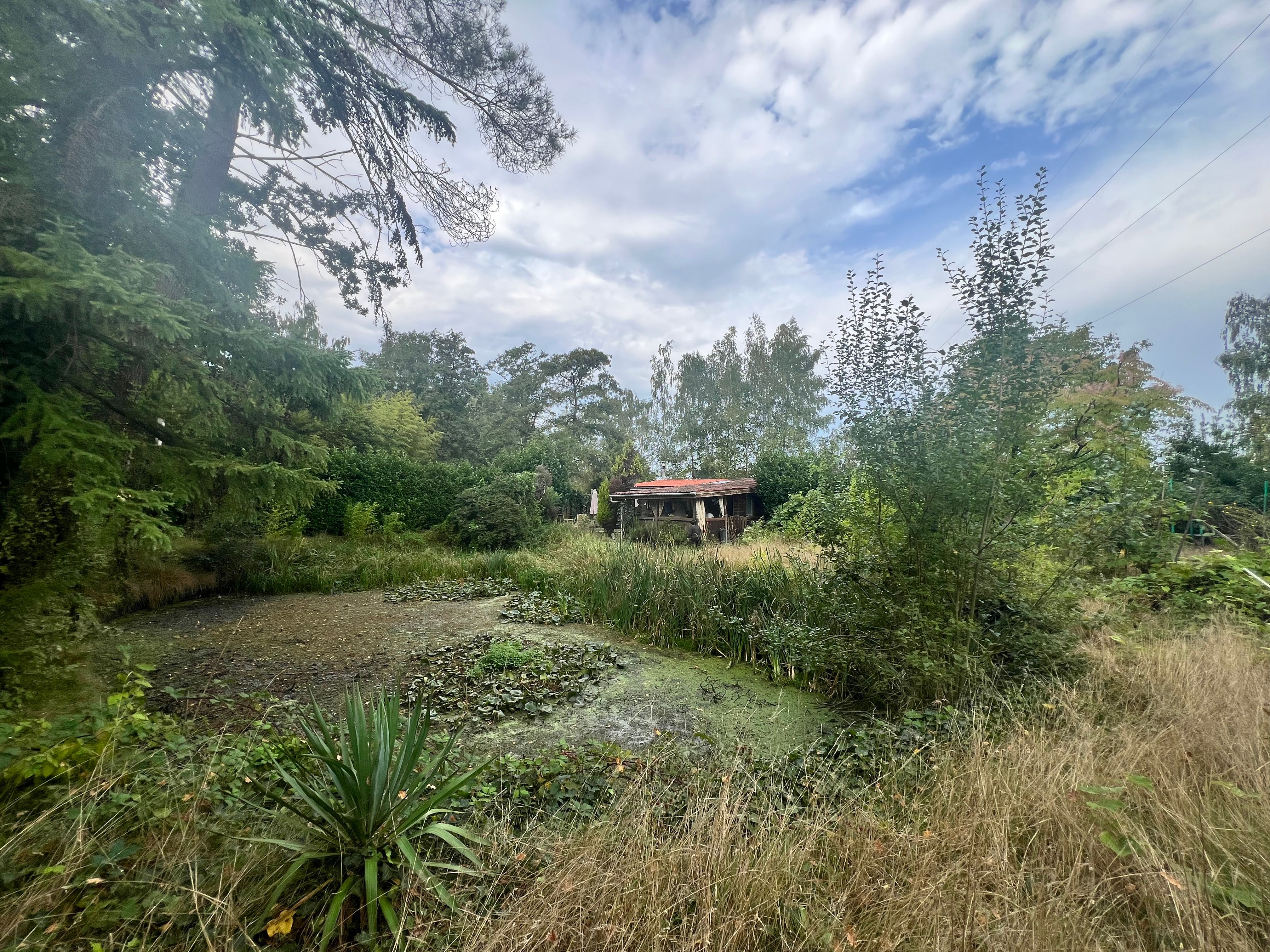 Gezellige chalet met vijver op een perceel van 1.965 m². foto 20