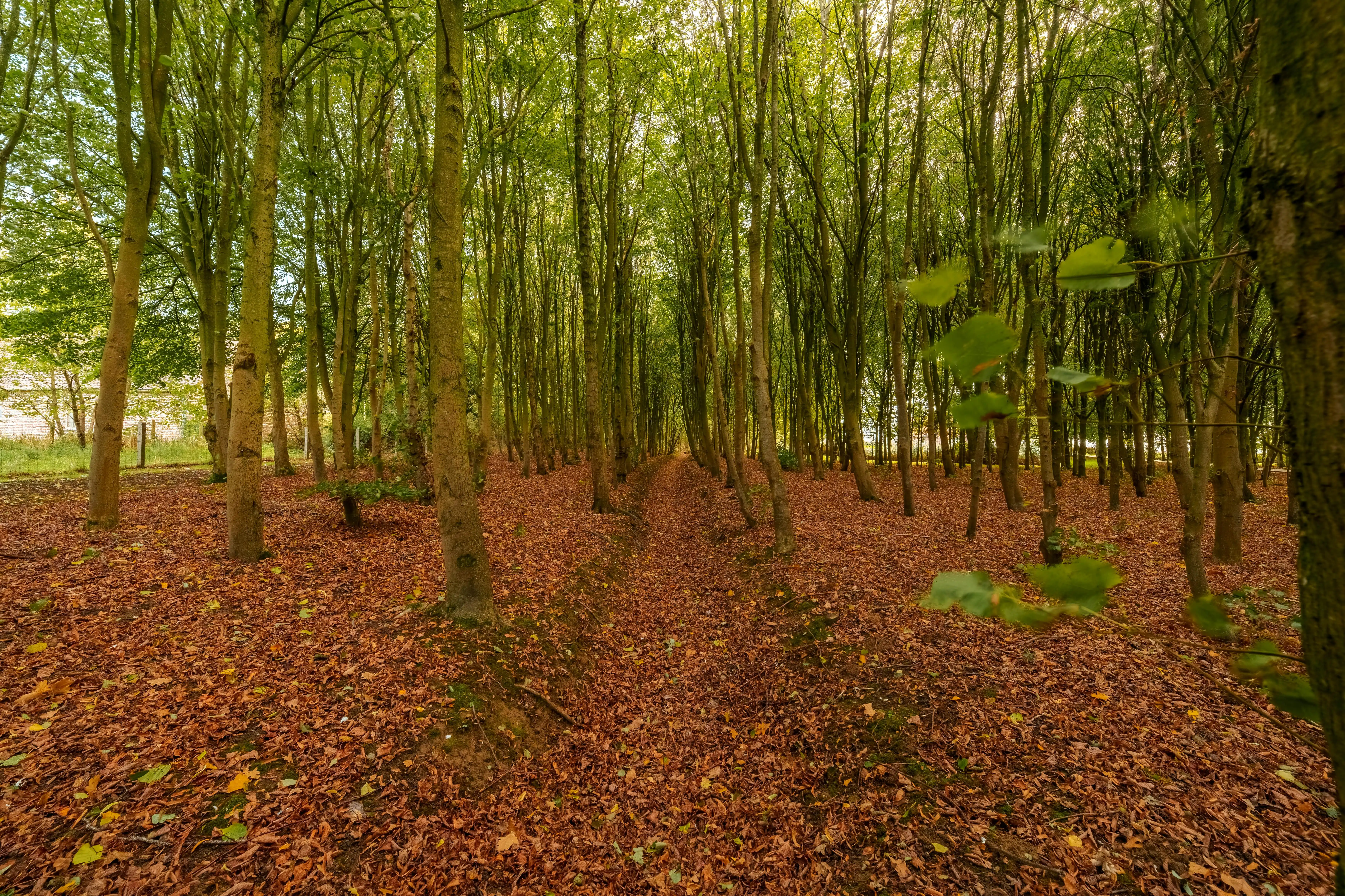 Unieke villa op 2,1 ha met 360°-uitzicht en eigen bos foto 17