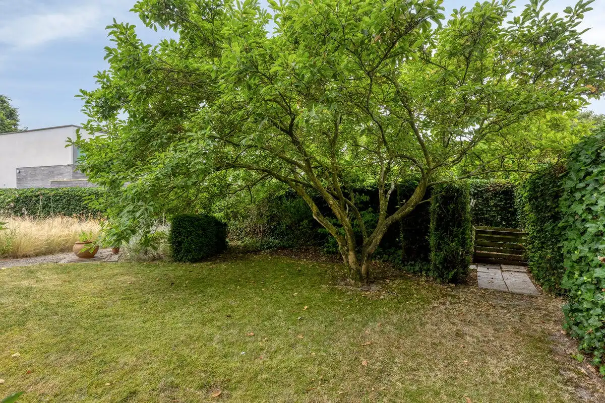  Instapklare woning te koop met 3 slaapkamers in Harelbeke foto 33